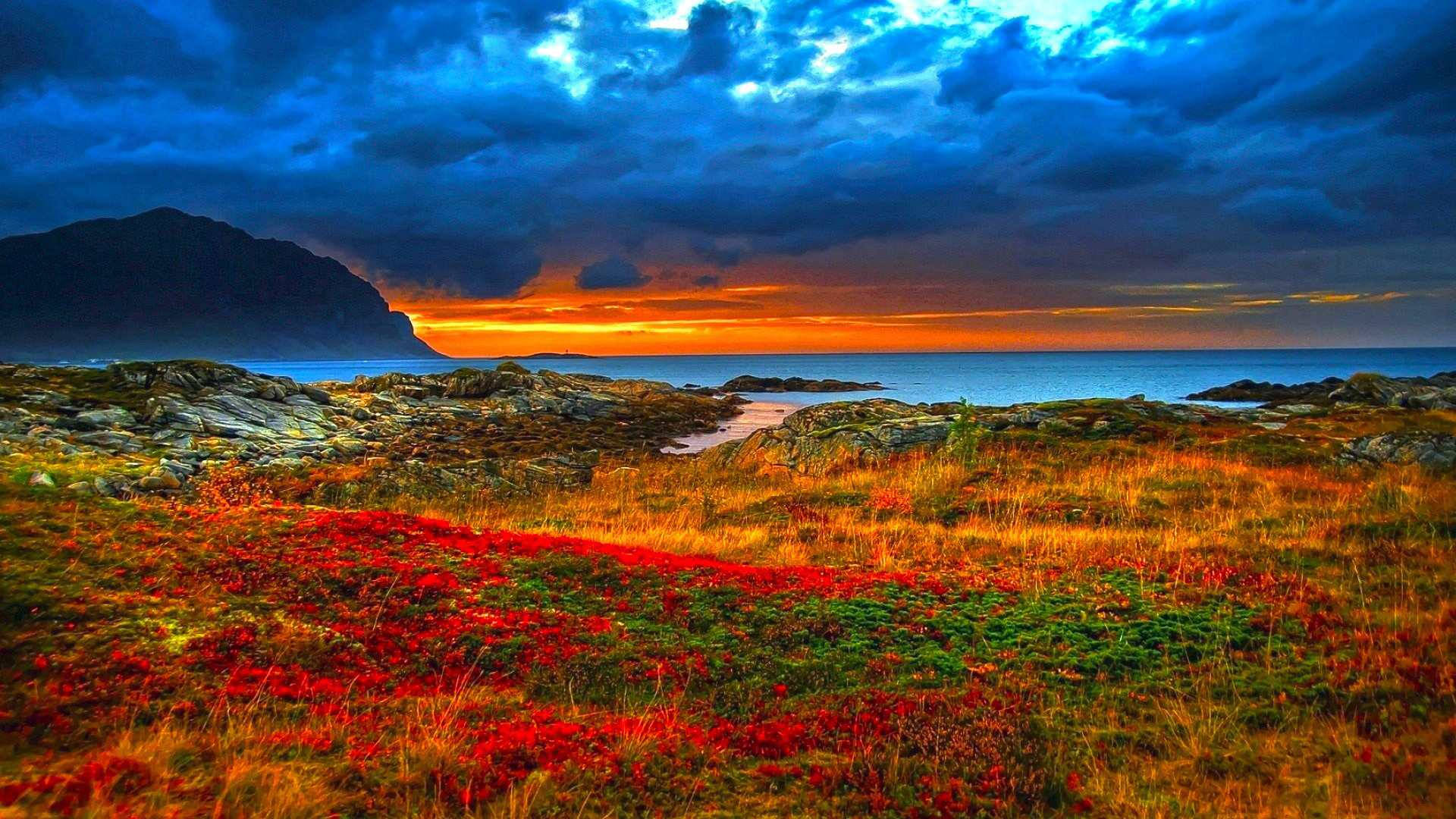 美麗高畫質 桌布 壁紙 — 鮮豔的紅色花朵在岩石海岸平原上盛開，壯麗的夕陽將天空染成火熱的橙色和深藍色的雲彩。