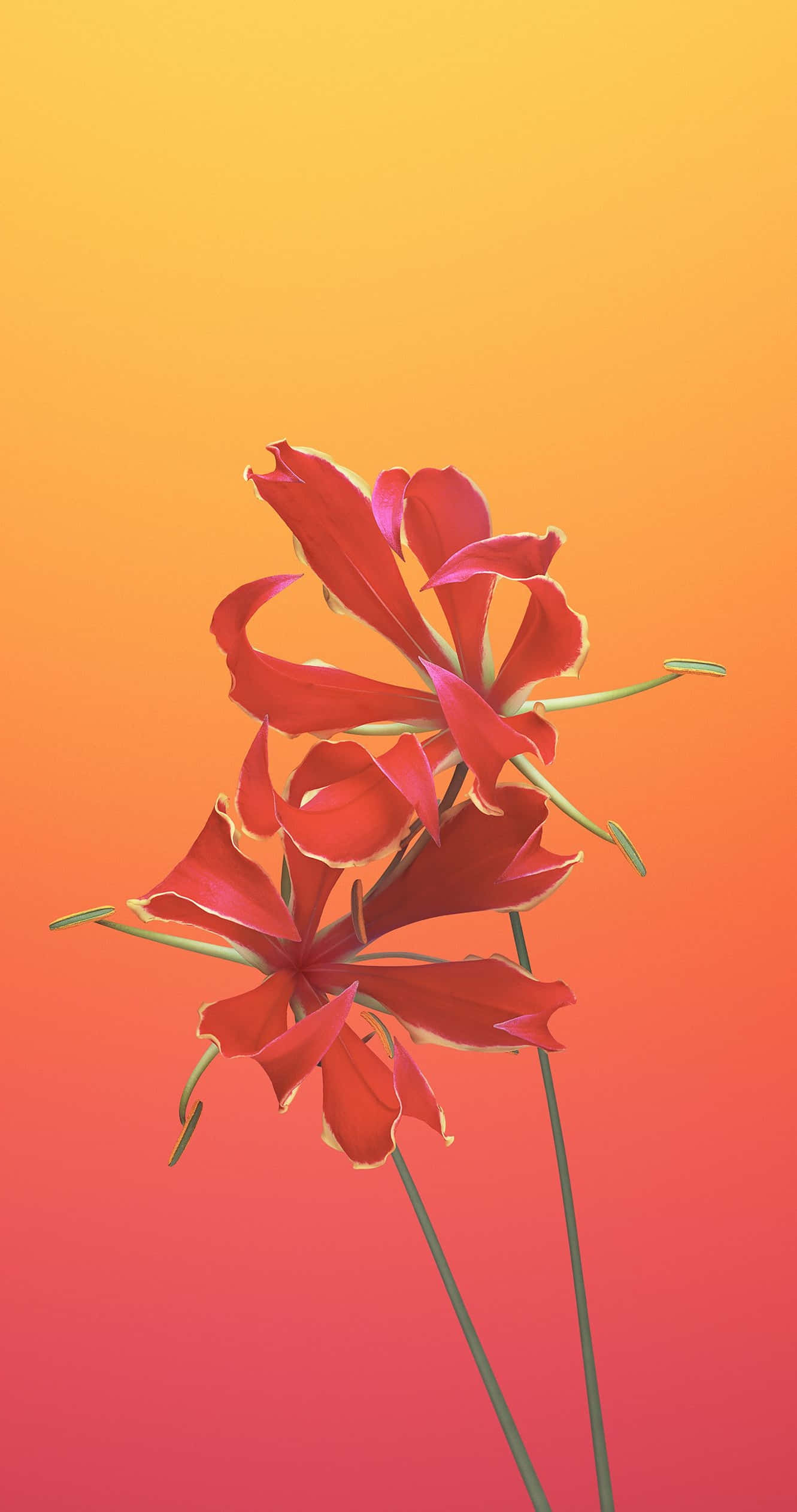 紅色 iPhone 桌布 壁紙 — 鮮豔的紅色花朵帶有精緻的花瓣，站在溫暖漸變的日落天空前，從黃色過渡到深橙色。