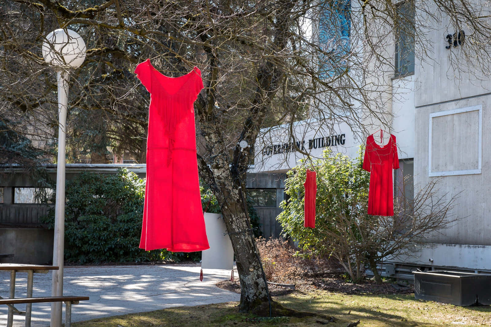 Red Clothing 桌布 壁紙 — 鮮豔的紅色連衣裙掛在混凝土建築旁邊陽光普照的庭院中的光禿樹枝上。