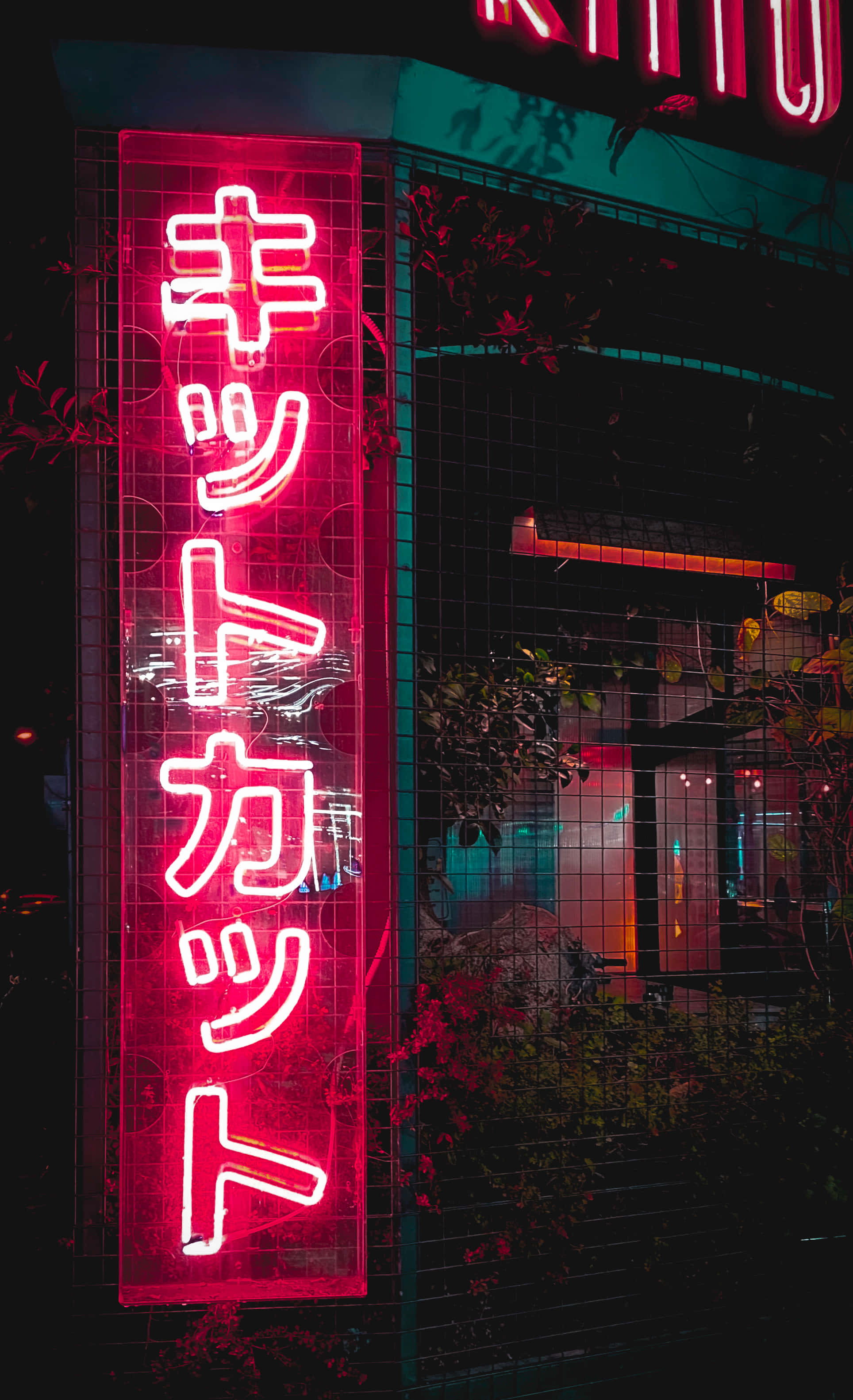 桌布 壁紙 — 鮮豔的紅色霓虹燈招牌帶有日文字，在黑暗的城市夜晚背景下發光，周圍環繞著樹葉和鐵絲網圍欄。