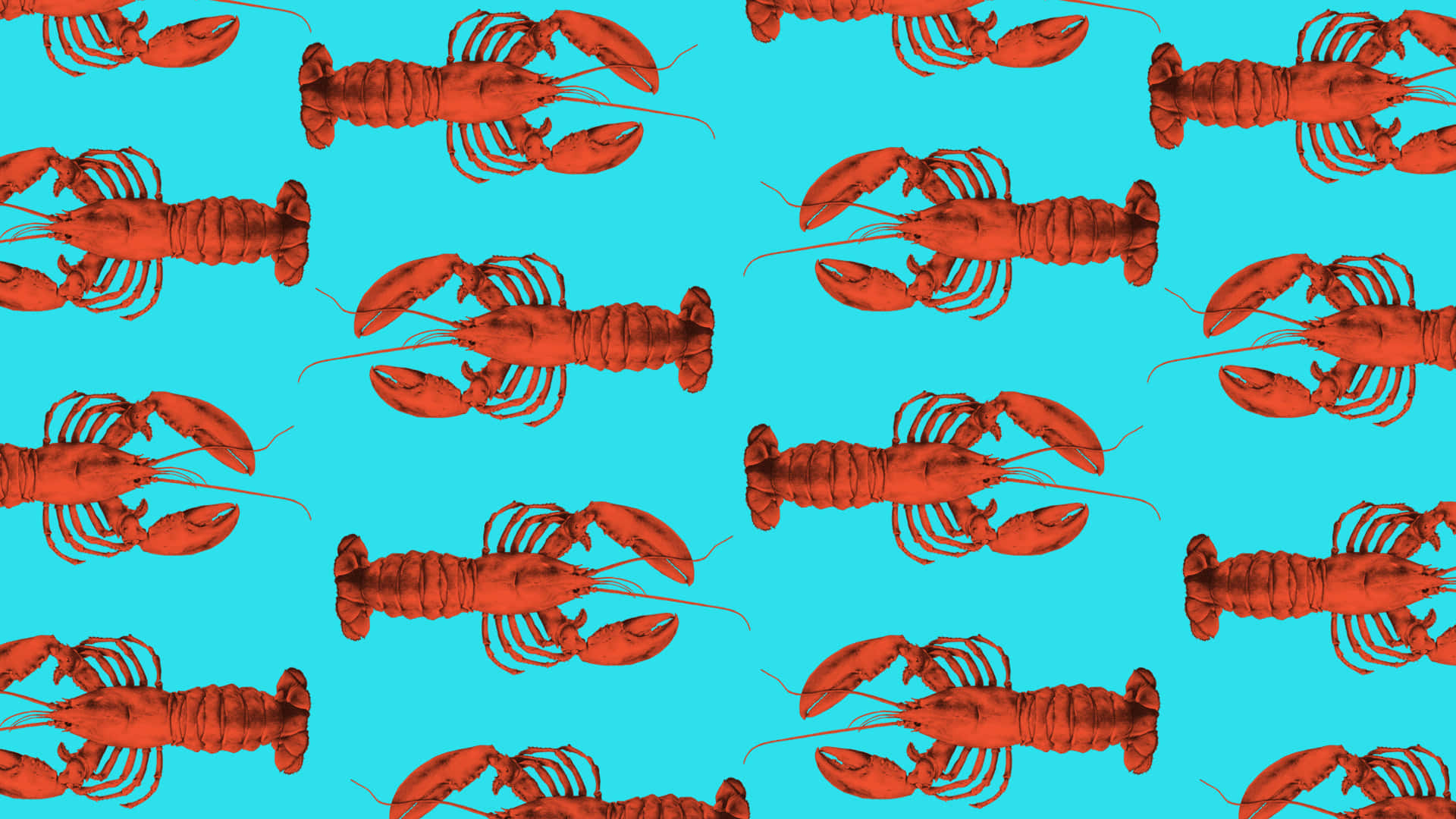 Lobster 桌布 壁紙 — 鮮豔的紅色龍蝦在明亮的青色背景上以大膽的圖案重複出現。