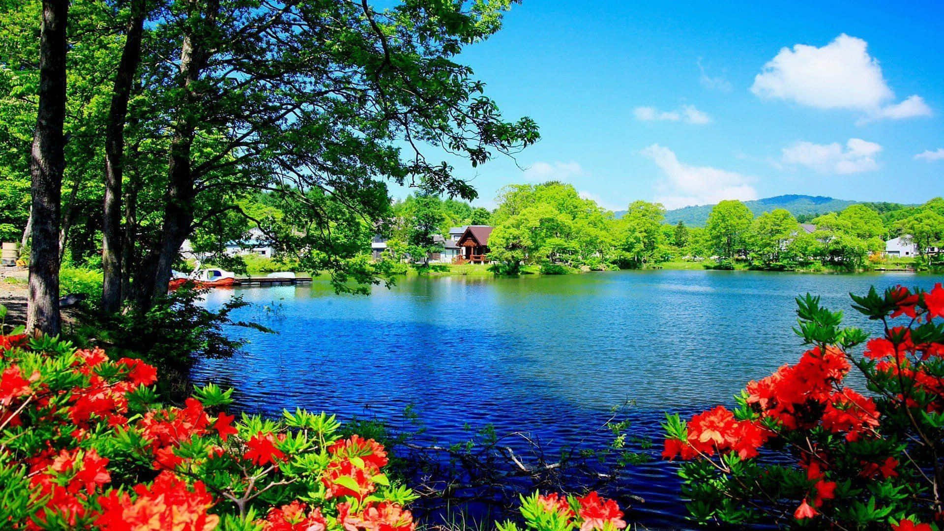 Nature Scenes 桌布 壁紙 — 鮮豔的紅花環繞著寧靜的藍色湖泊，周圍是茂密的綠樹，上方是明亮的藍天和蓬鬆的白雲。