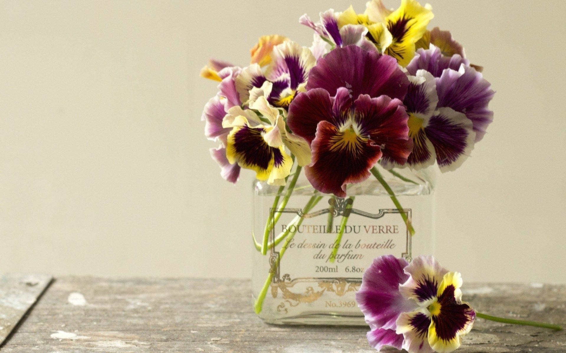 Flowers 桌布 壁紙 — 鮮豔的紫色、黃色和白色三色堇在一個復古玻璃香水瓶中盛開，放在經風化的木質表面上。