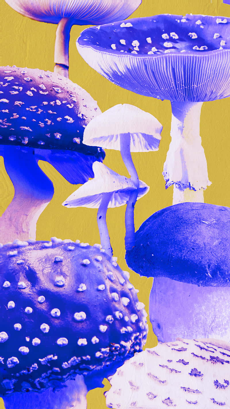 mushrooms 桌布 壁紙 — 鮮豔的紫色和白色蘑菇，帶有紋理菌蓋，在鮮明的黃色背景上以風格化插圖呈現。