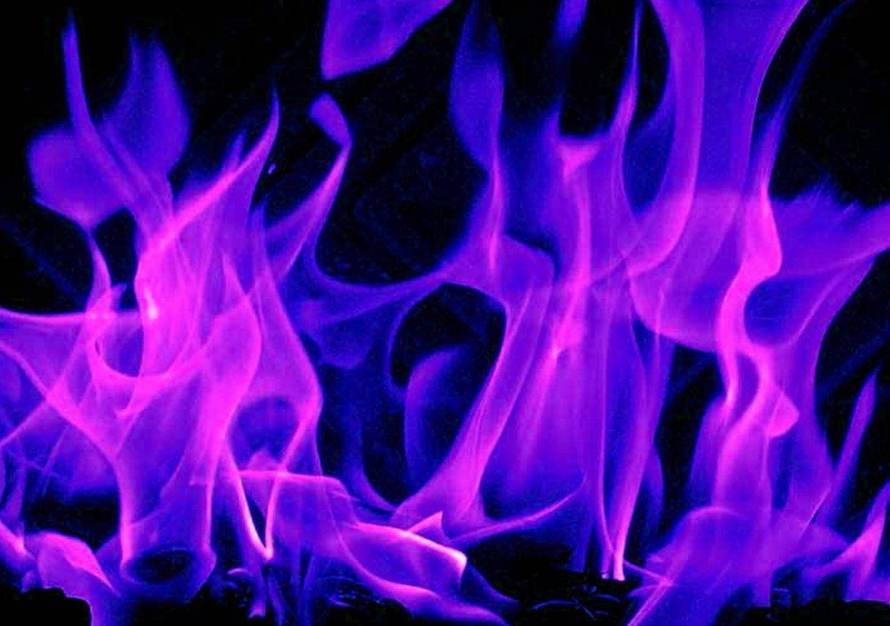 Flame 桌布 壁紙 — 鮮豔的紫色和粉紅色火焰在純黑背景上舞動，呈現出迷人的熾熱光芒。