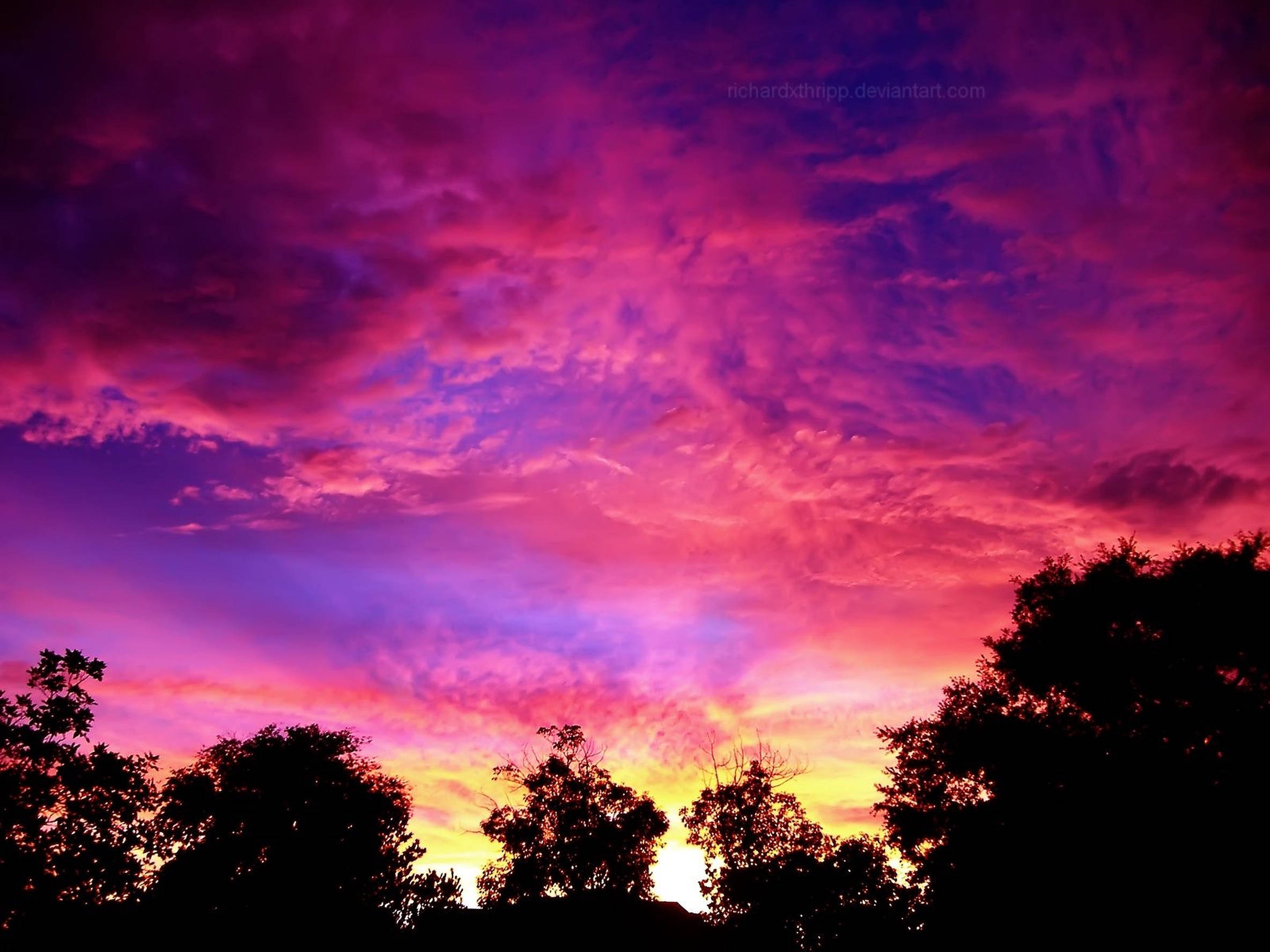 夕陽天空 桌布 壁紙 — 鮮豔的紫色和粉紅色雲彩在暮色天空中掠過，下方是深色樹木的剪影。
