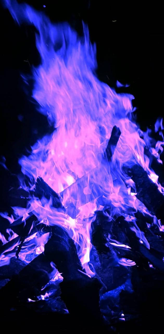火焰動畫 桌布 壁紙 — 鮮豔的紫色和藍色火焰在漆黑的背景上，於深色燒焦的木頭上狂野舞動。