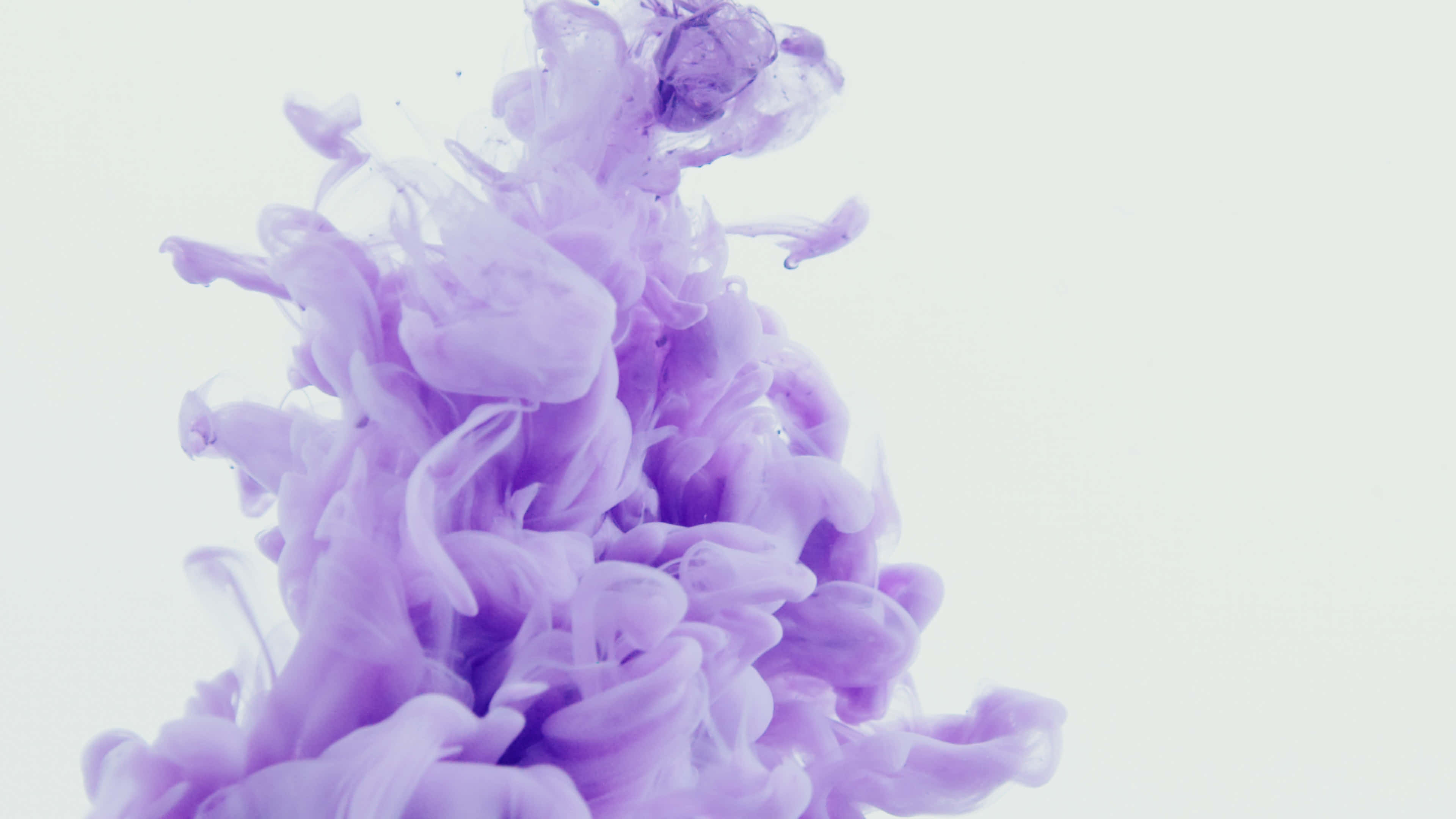 Purple Smoke 桌布 壁紙 — 鮮豔的紫色墨水在柔和的白色背景上動態旋轉，呈現迷人的流體運動。