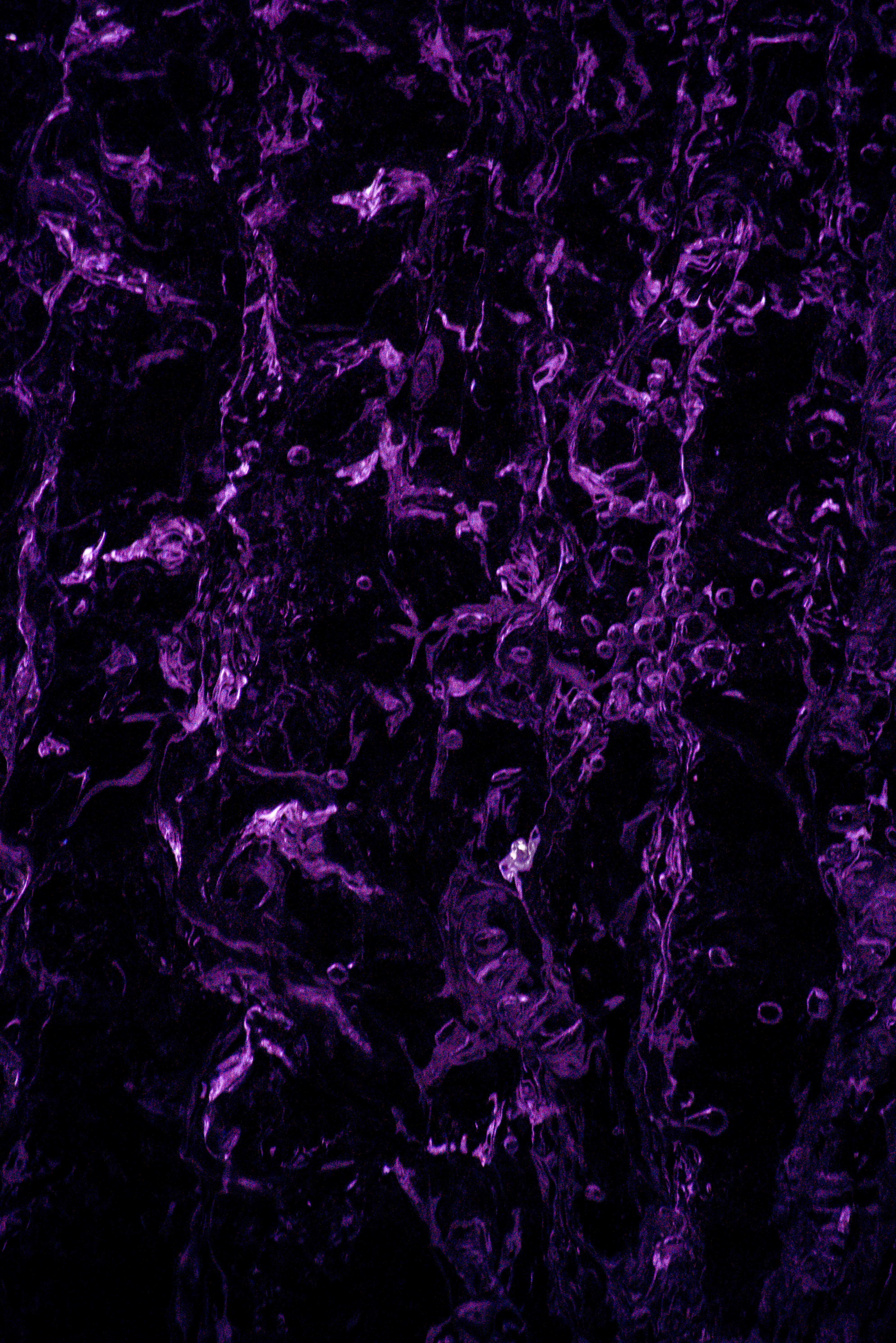 Purple Aesthetic Phone 桌布 壁紙 — 鮮豔的紫色液體在深黑色背景上旋轉，營造出抽象的流體運動效果。