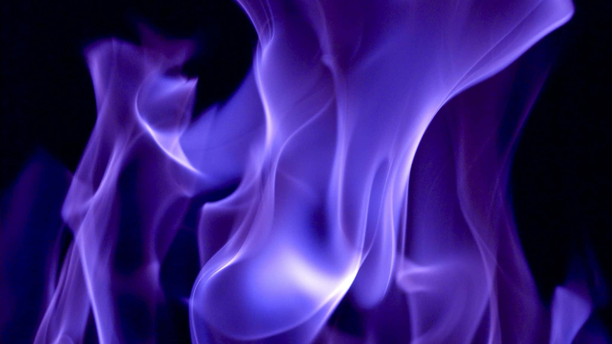Purple Fire 桌布 壁紙 — 鮮豔的紫色火焰在深黑色背景上優雅舞動，營造出迷人且超現實的視覺效果。