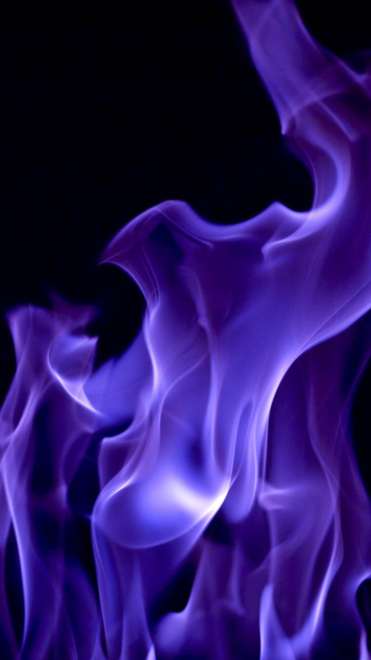 Purple Fire 桌布 壁紙 — 鮮豔的紫色火焰在純黑背景上動態舞動，營造出空靈而強烈的視覺效果。
