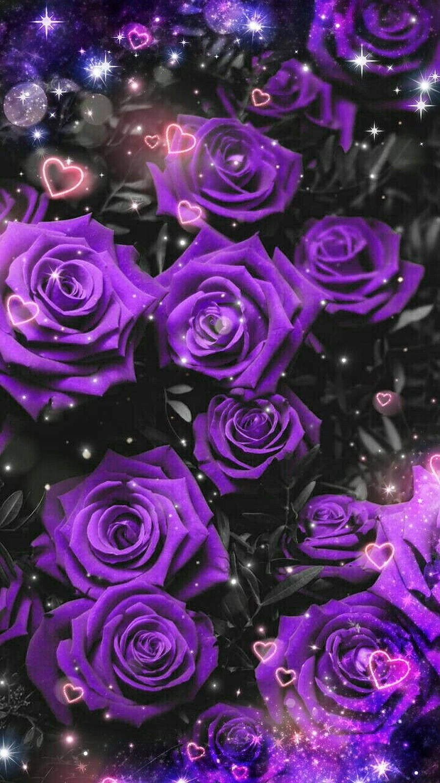 Purple Rose 桌布 壁紙 — 鮮豔的紫色玫瑰在黑暗背景下盛開，背景點綴著閃爍的星星和發光的粉紅色心形。