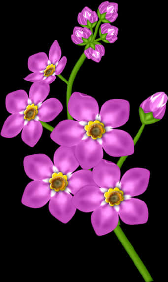 Pink Flower 桌布 壁紙 — 鮮豔的紫色花朵帶有黃色花心，在綠色莖上盛開，襯托在純黑色背景上。