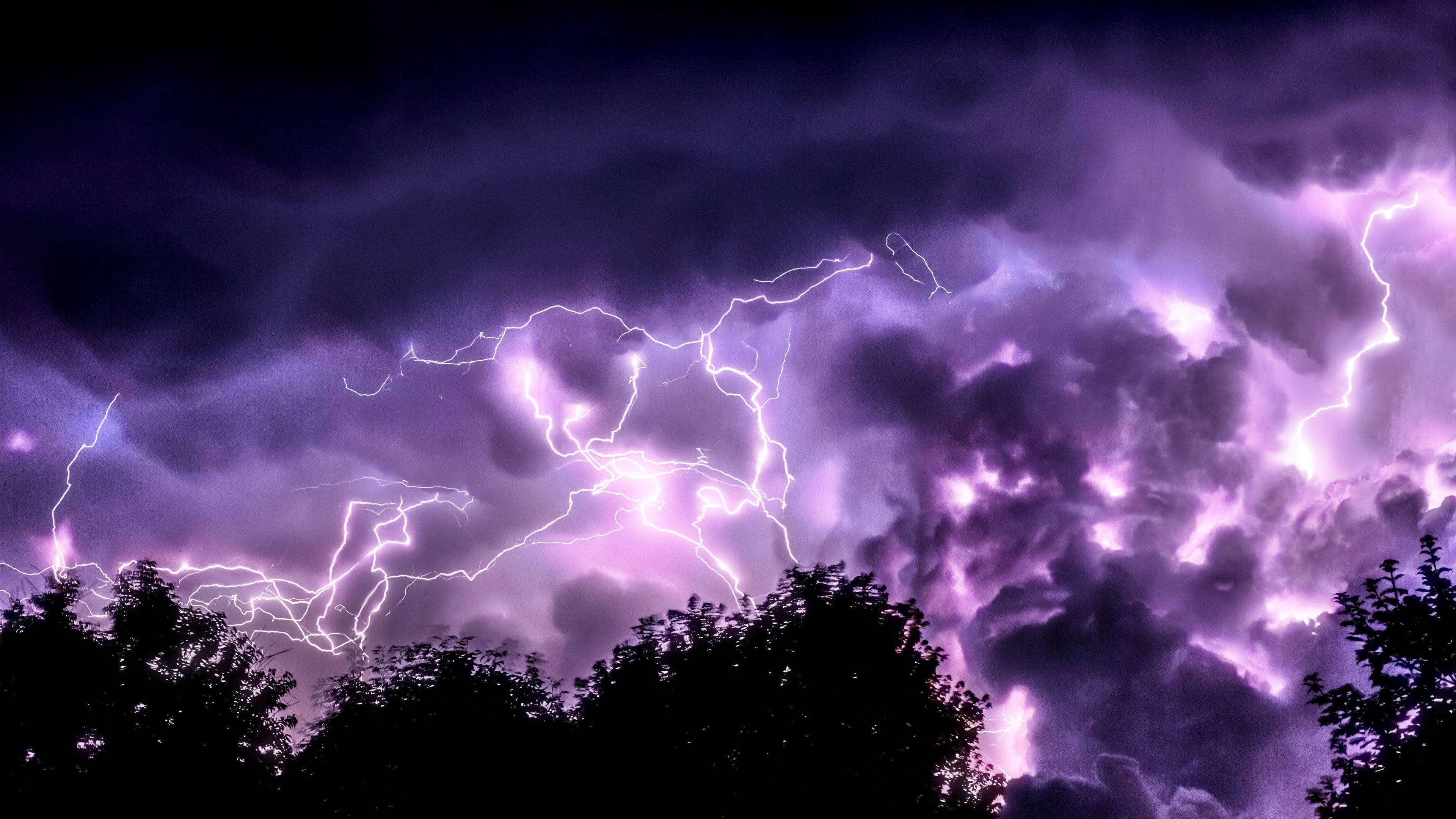 桌面 桌布 壁紙 — 鮮豔的紫色閃電在暴風雨的夜空中，在剪影般的樹梢上方叉開。