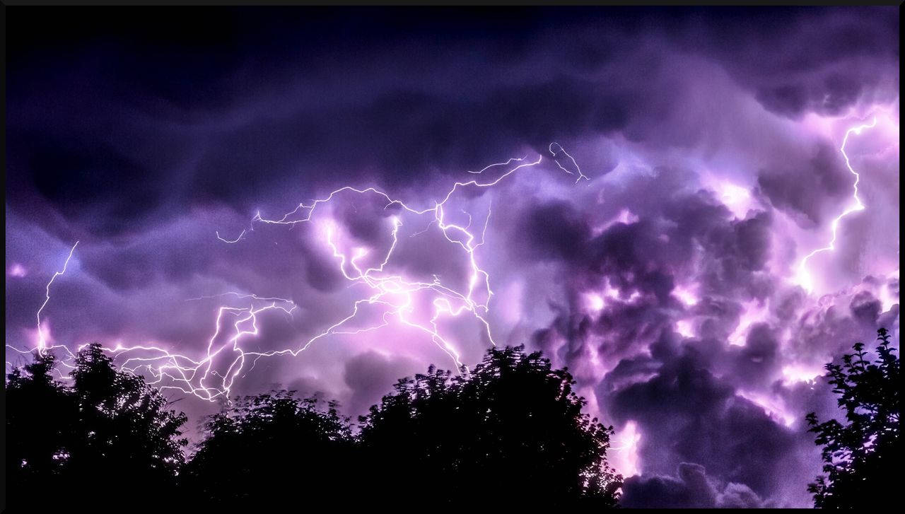 淡紫色 桌布 壁紙 — 鮮豔的紫色閃電在暴風雨的天空中分叉，映襯著剪影般的樹梢，構成戲劇性的夜景。