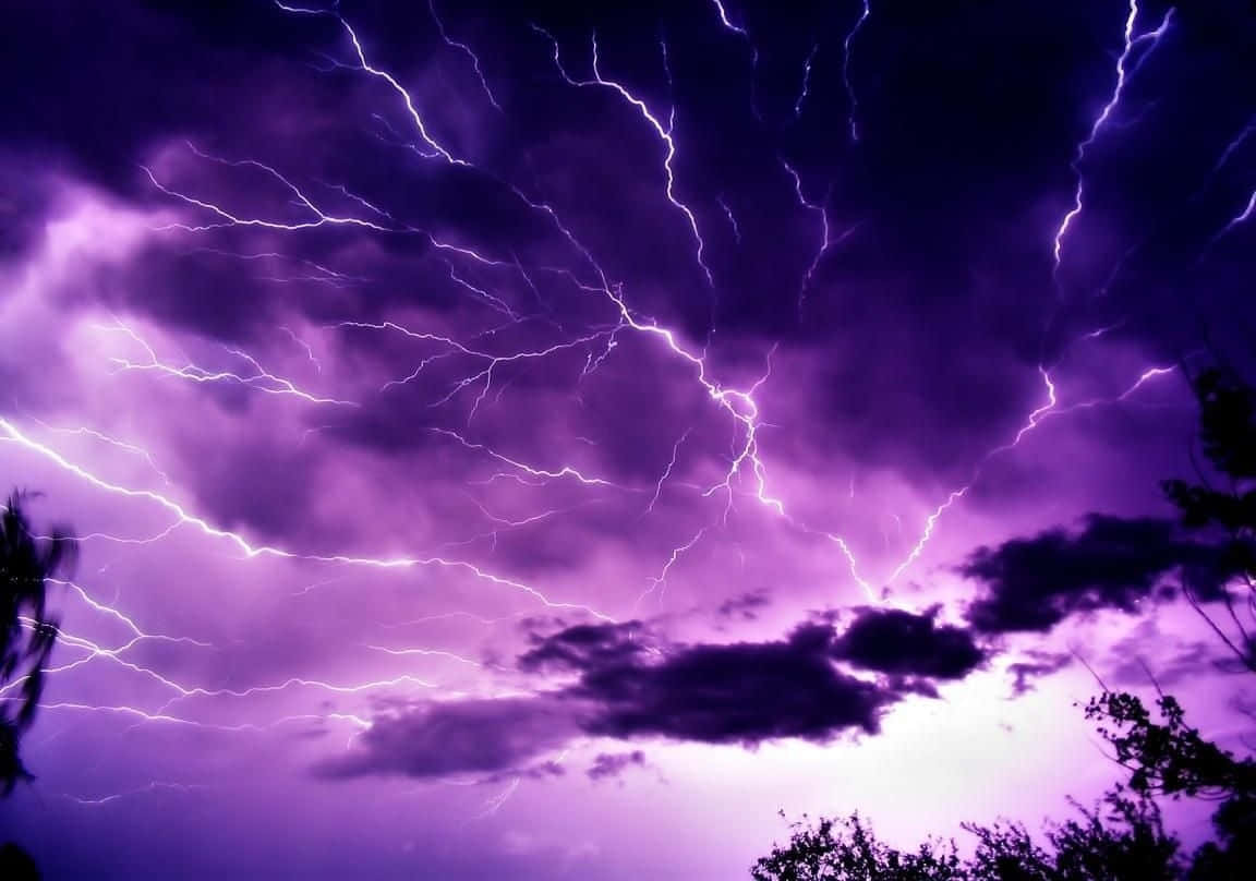 Purple Lightning 桌布 壁紙 — 鮮豔的紫色閃電在風暴天空中的樹梢剪影上方分叉。