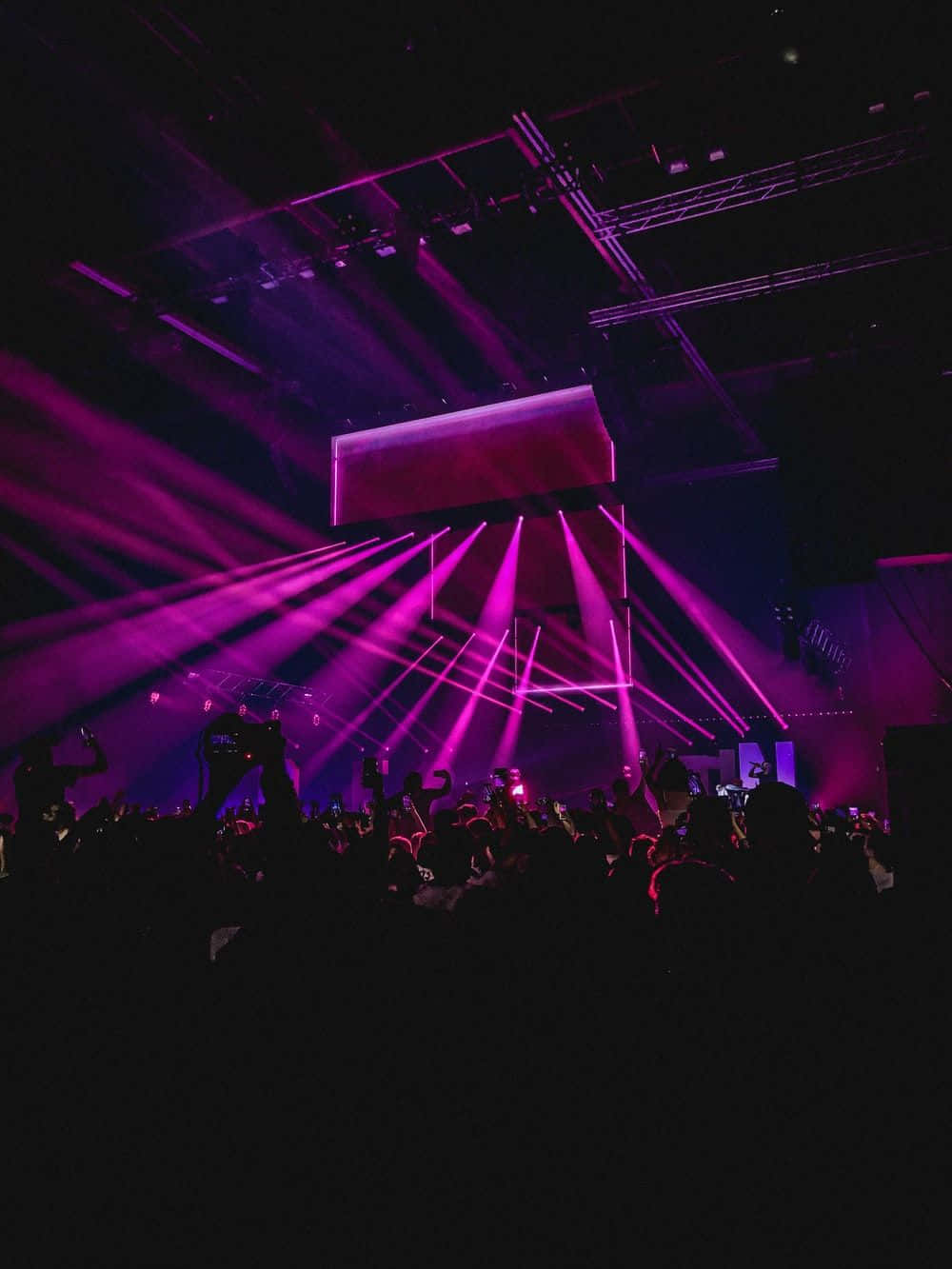 club 桌布 壁紙 — 鮮豔的紫色雷射光束在充滿活力的演唱會上劃破黑暗，照耀在剪影般的人群上方。