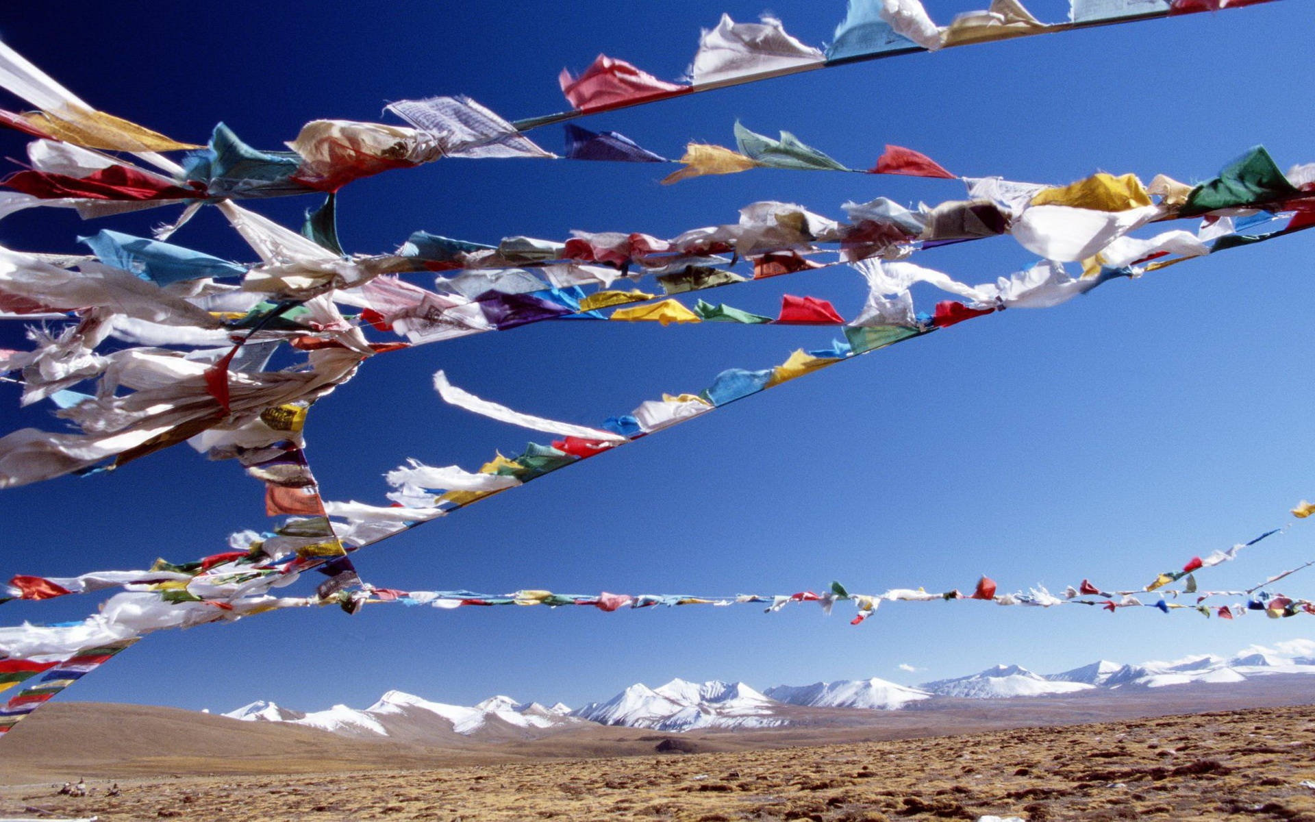Nepal 桌布 壁紙 — 鮮豔的經幡在雪山和乾旱平原上方的清澈藍天中飄揚。