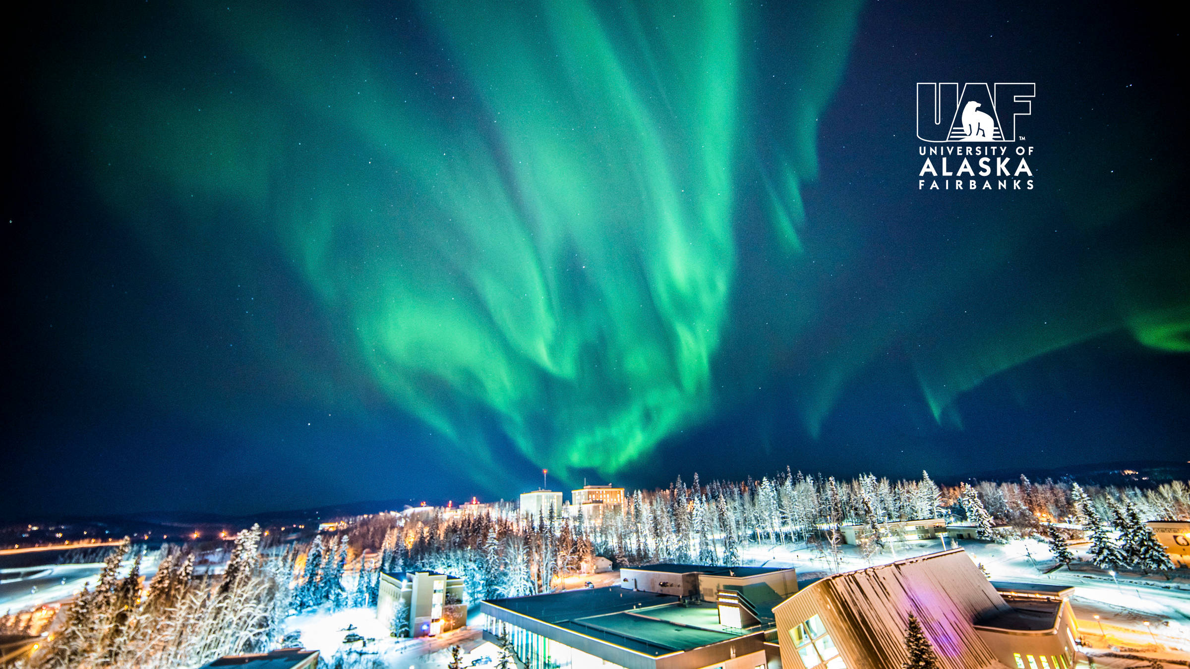 桌布 壁紙 — 鮮豔的綠色北極光在雪夜天空中舞動，照耀著費爾班克斯的建築物和樹木。