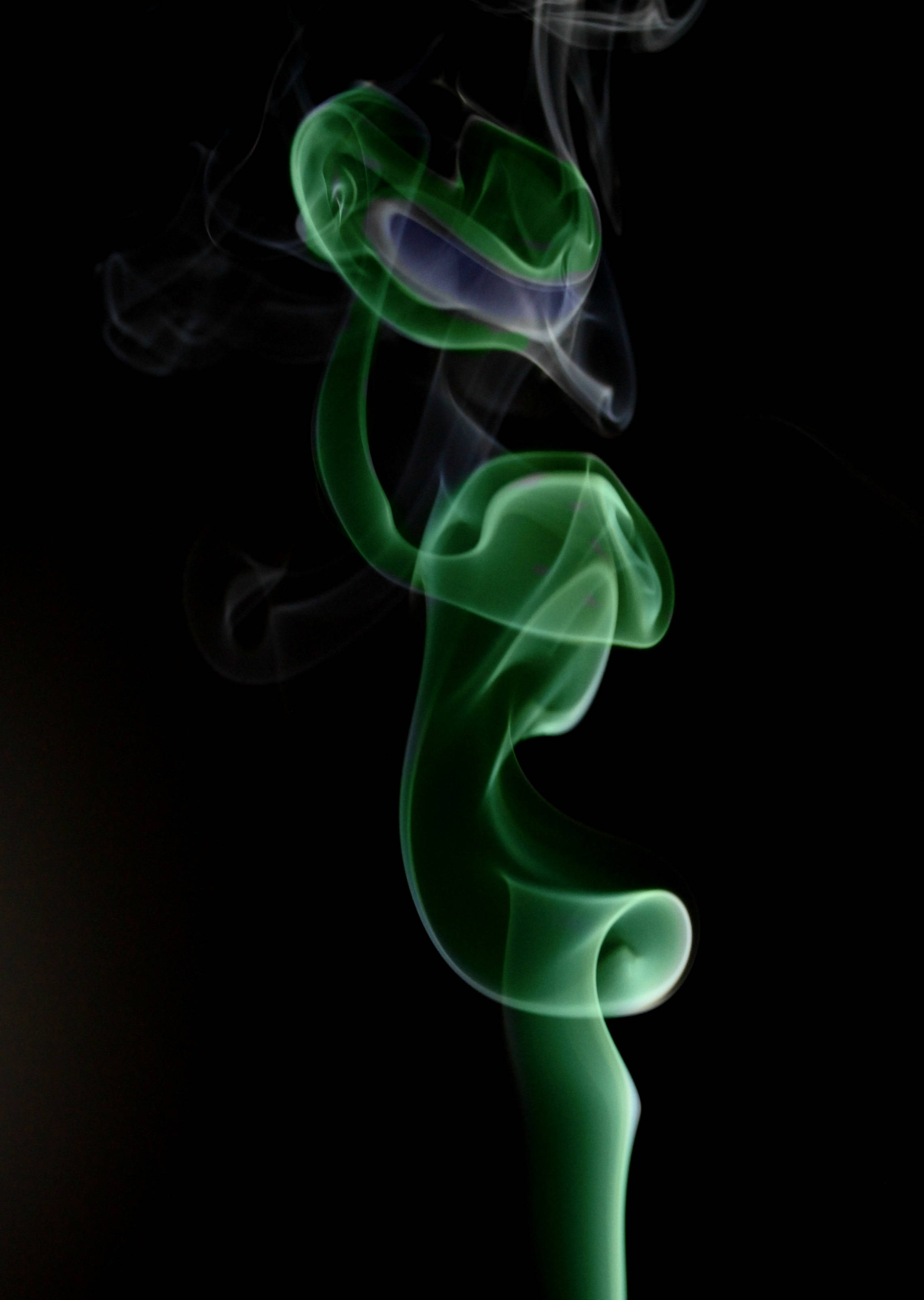 綠色 桌布 壁紙 — 鮮豔的綠色煙霧在純黑背景上優雅地旋轉，形成優美流暢的形狀。