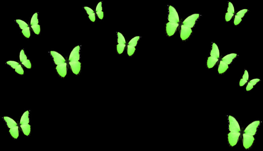 Insects 桌布 壁紙 — 鮮豔的綠色蝴蝶在純黑色背景上以分散、動態的排列方式翩翩飛舞。
