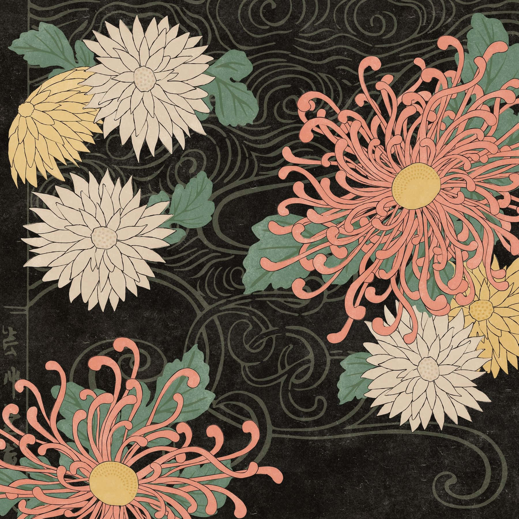 Floral Print 桌布 壁紙 — 鮮豔的菊花在珊瑚奶油色和黃色中綻放，背景是深色漩渦圖案。