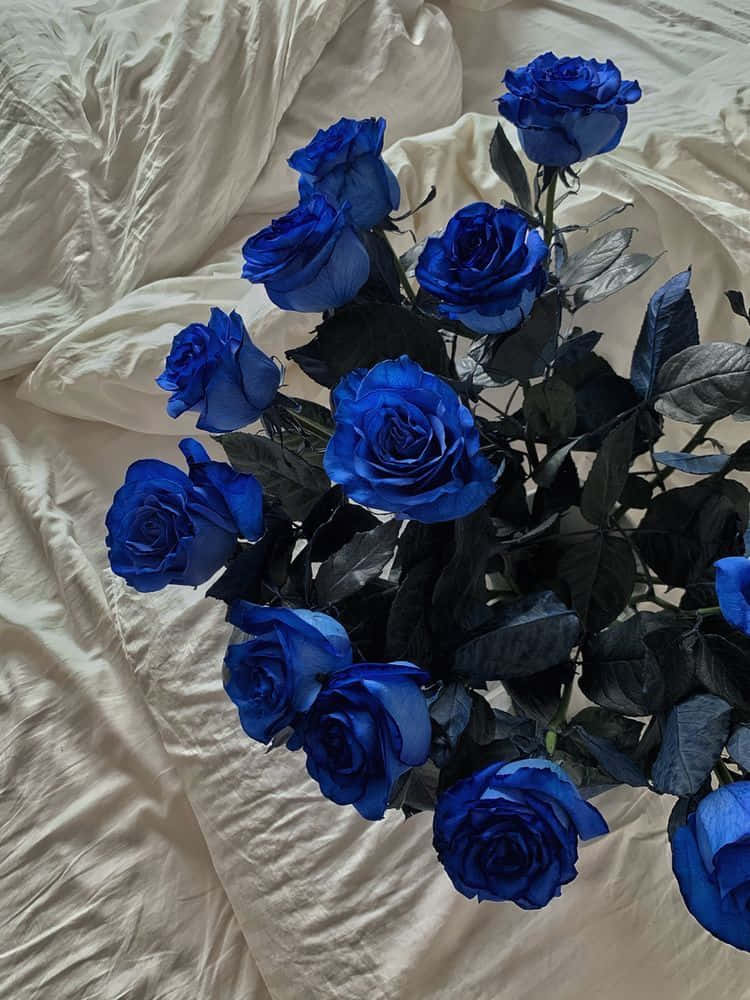 Rose Flower 桌布 壁紙 — 鮮豔的藍玫瑰配深色葉子，放置在皺褶的奶油色布料上，柔和自然光。