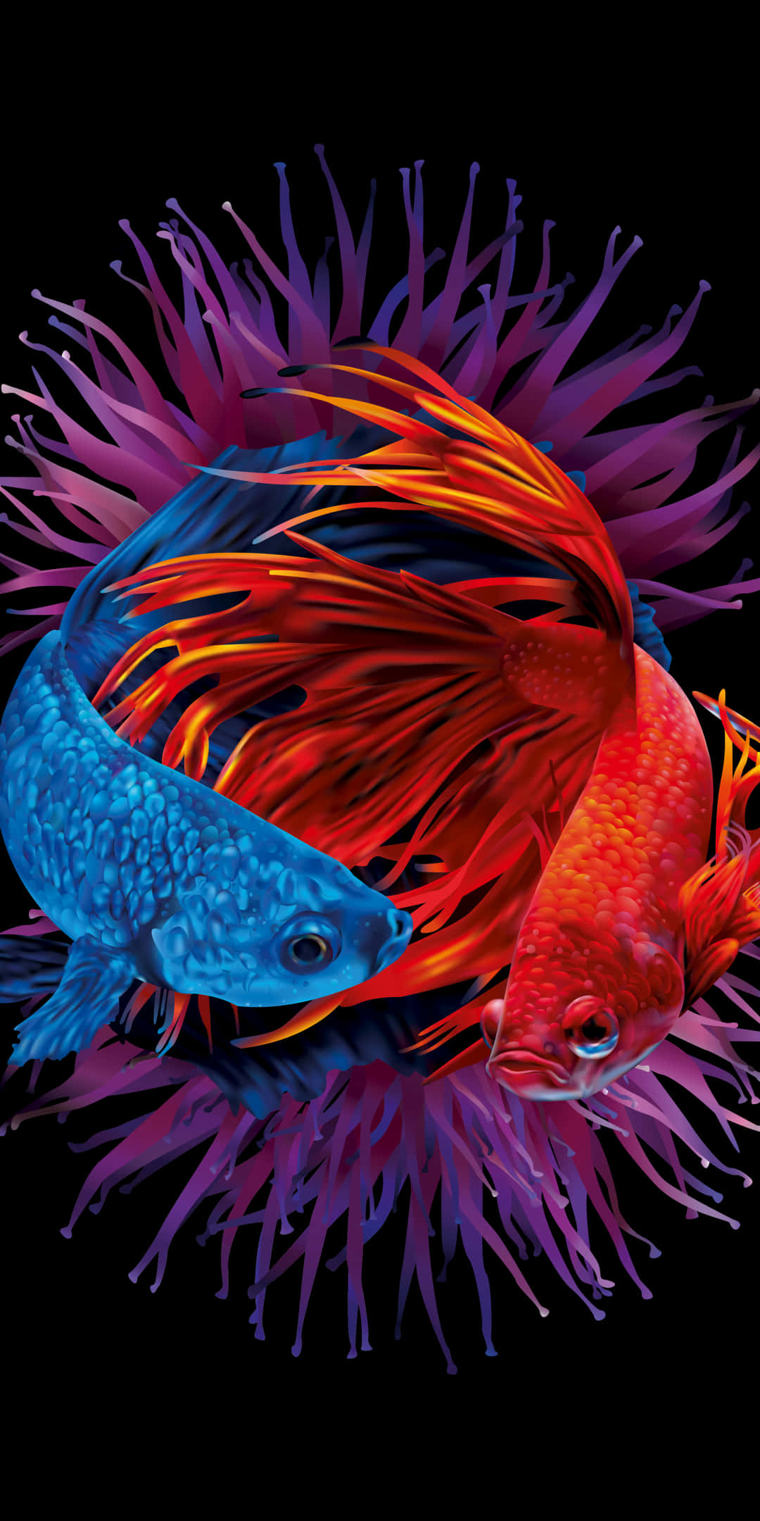 Pixel 3 Fish 桌布 壁紙 — 鮮豔的藍色和火紅色的鬥魚在漆黑的背景下，優雅地在發光的紫色珊瑚間游動。