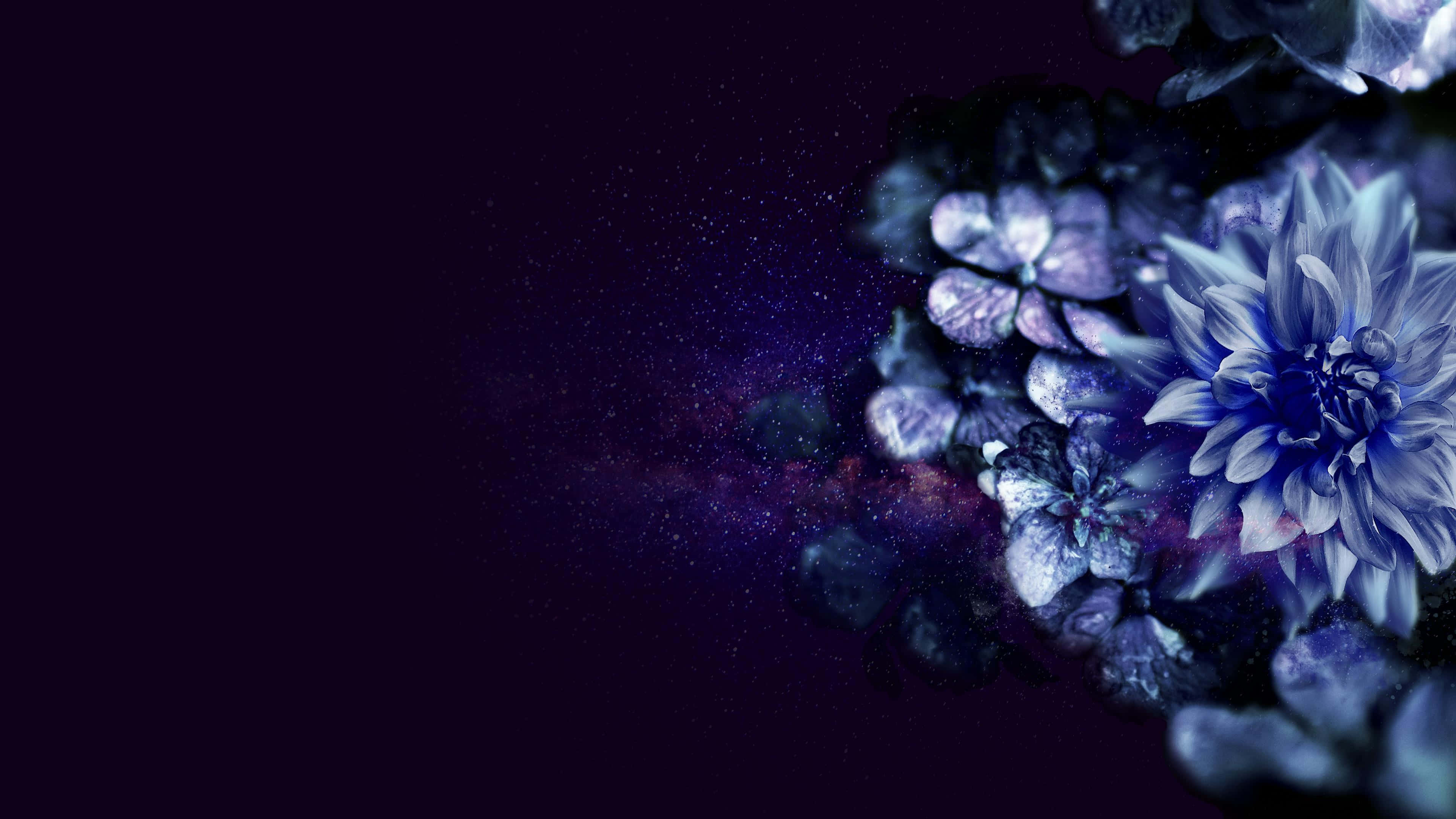 深藍色 桌布 壁紙 — 鮮豔的藍色和紫色花朵在帶有發光粒子的宇宙黑暗背景上綻放。