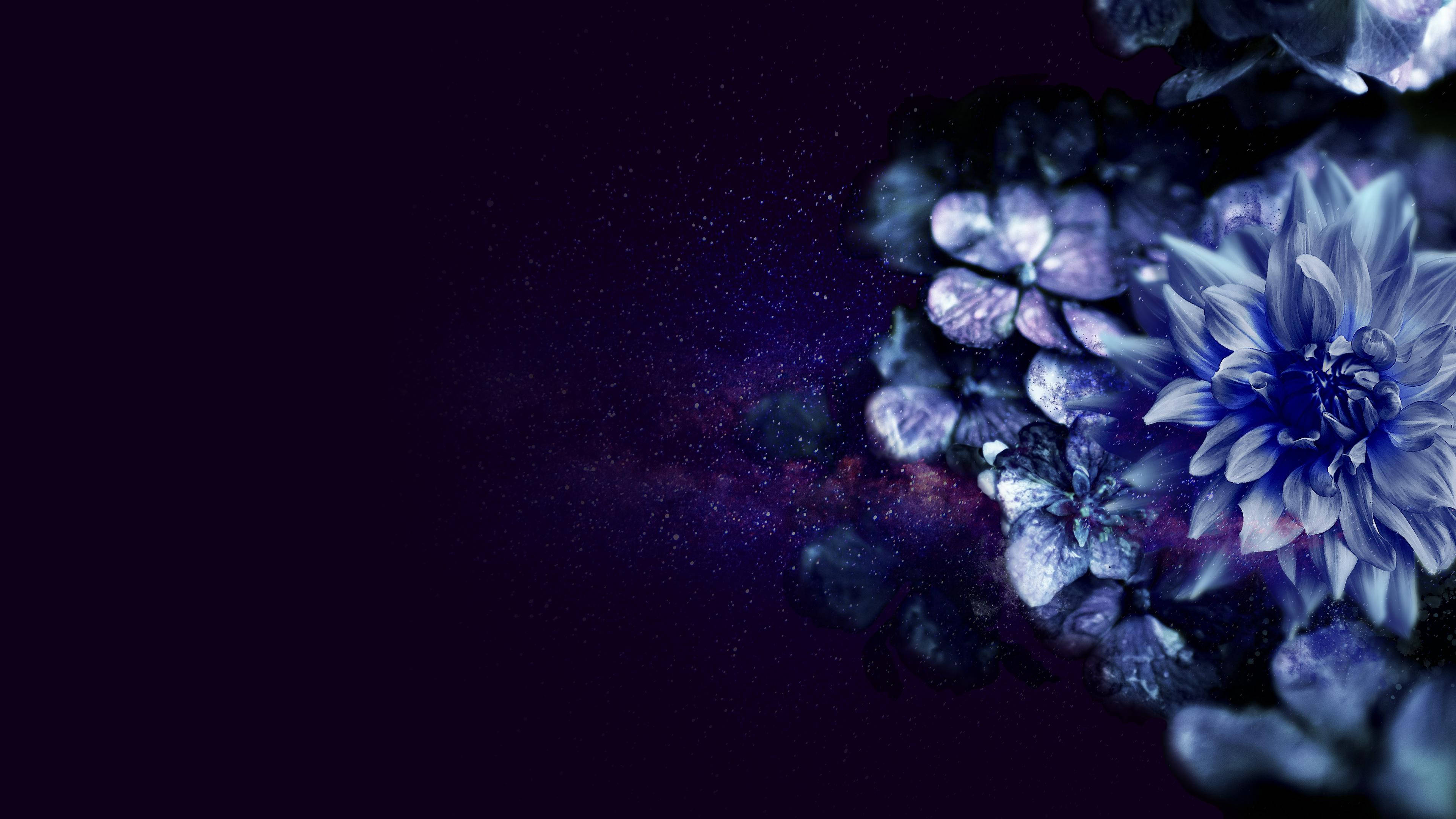 花 桌布 壁紙 — 鮮豔的藍色和紫色花朵在閃爍星星和星雲的宇宙銀河背景下盛開。
