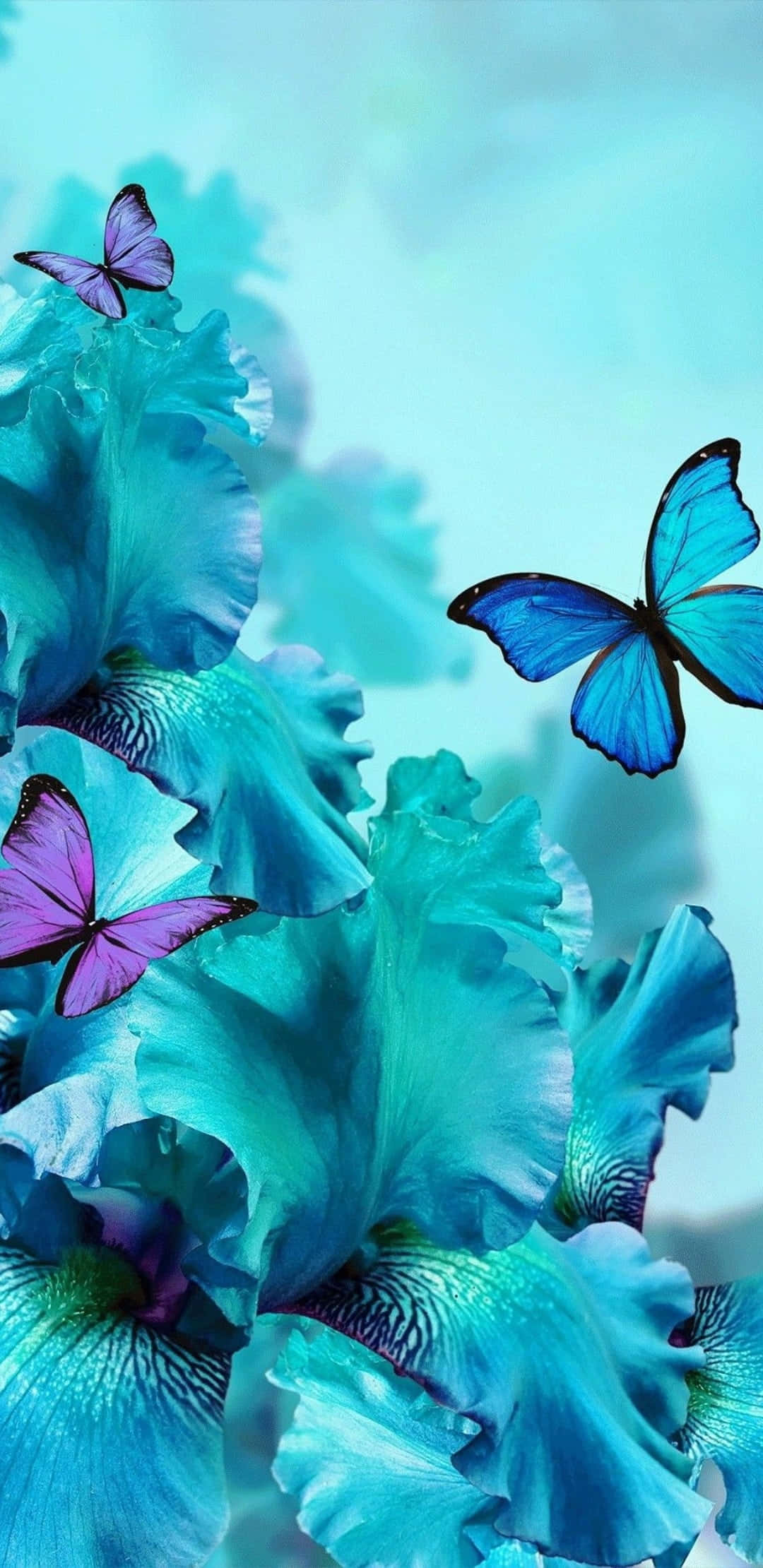 Spring Butterflies 桌布 壁紙 — 鮮豔的藍色和紫色蝴蝶在茂盛的綠松色鳶尾花間翩翩起舞，背景是柔和的天空藍。