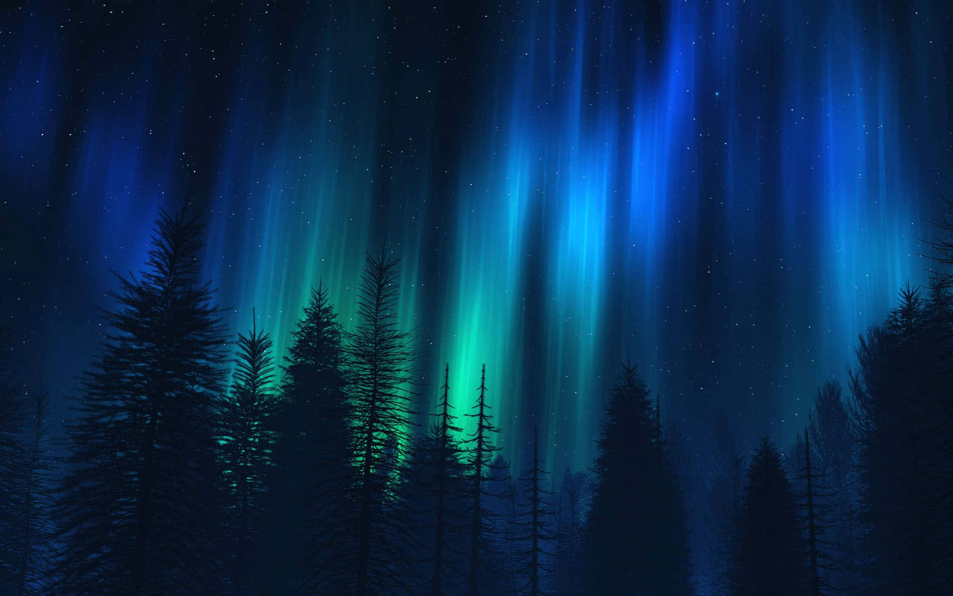 Aurora 桌布 壁紙 — 鮮豔的藍色和綠色北極光在黑暗松樹林剪影上方的星空夜空中舞動。
