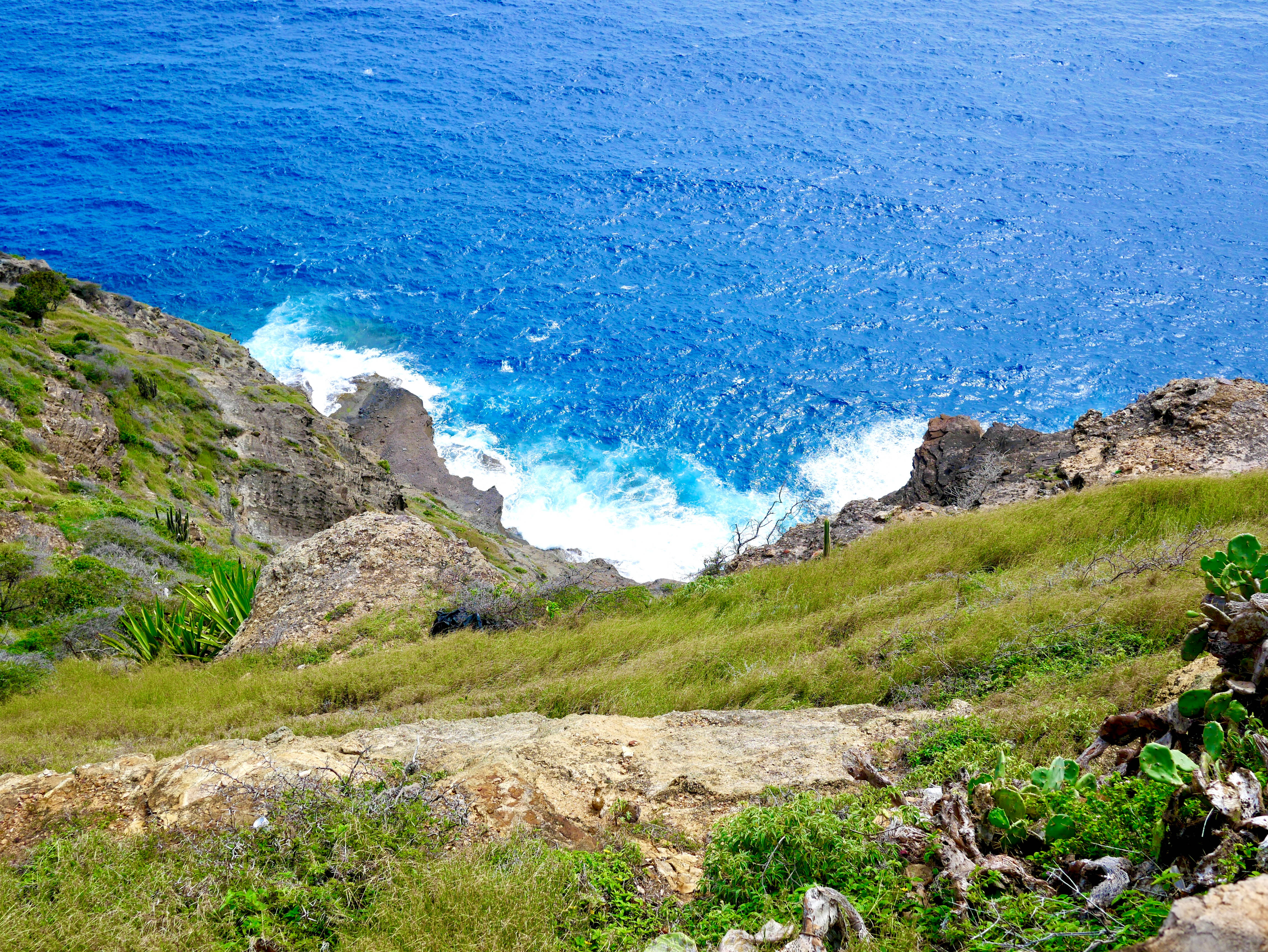 Antigua And Barbuda 桌布 壁紙 — 鮮豔的藍色海洋在明亮的日光下衝擊著覆蓋著綠草和灌木的崎嶇懸崖。