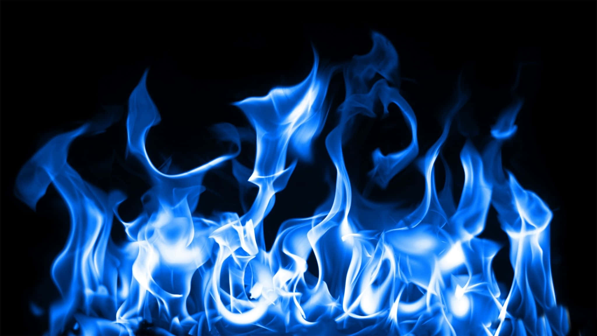 Blue Flames 桌布 壁紙 — 鮮豔的藍色火焰在純黑色背景上動態舞動，營造出引人注目且強烈的視覺效果。