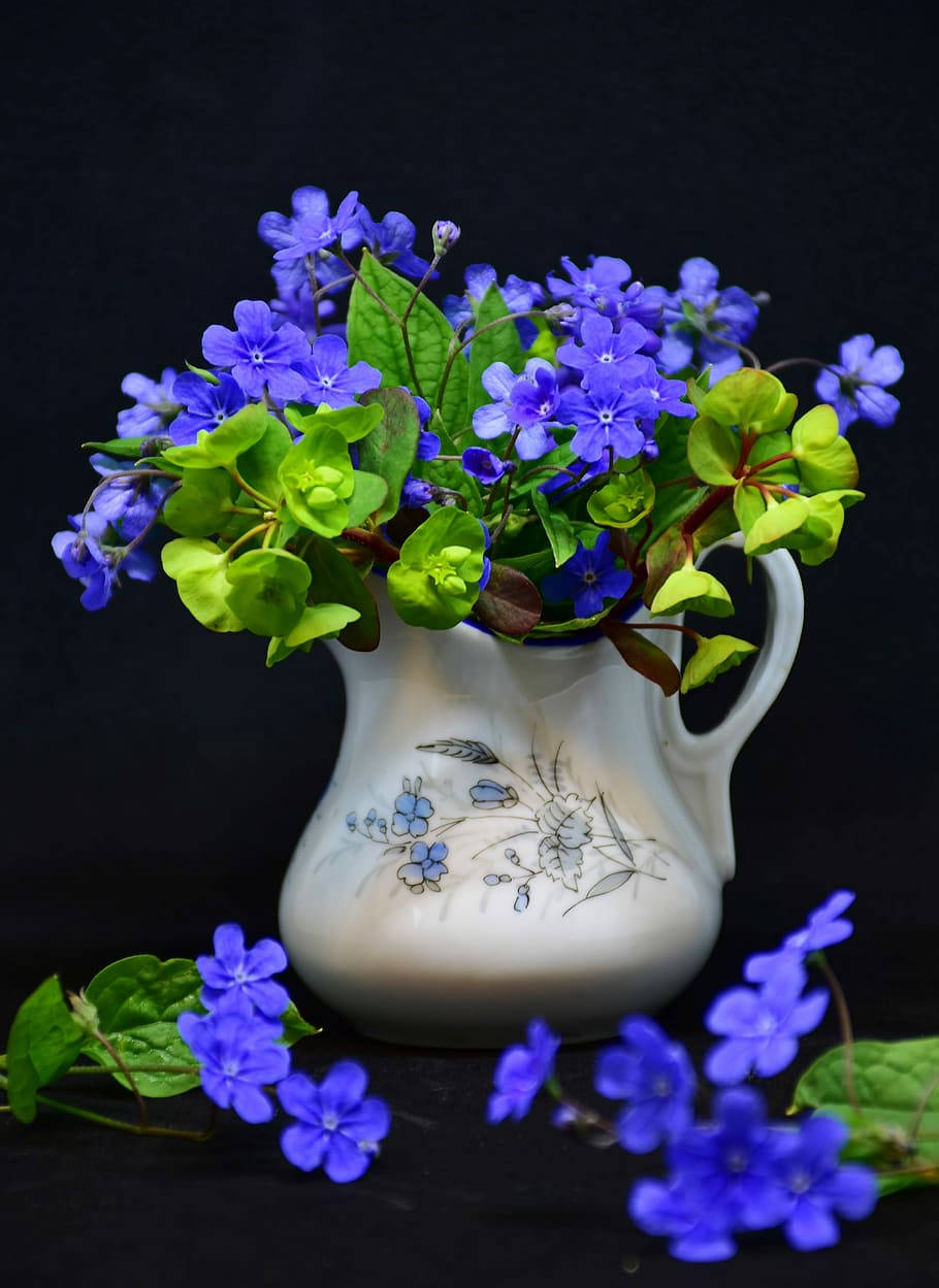 Flowers 桌布 壁紙 — 鮮豔的藍色花朵和茂盛的綠葉從白色陶瓷壺中溢出，背景為純黑色。