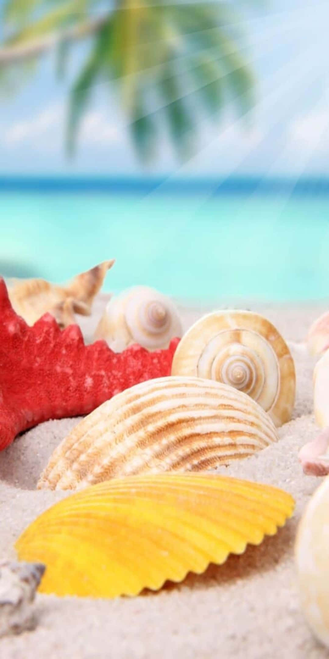 Pixel 3 Summer 桌布 壁紙 — 鮮豔的貝殼和紅色海星躺在陽光照耀的沙灘上，背景是柔焦的碧綠海洋和棕櫚葉。