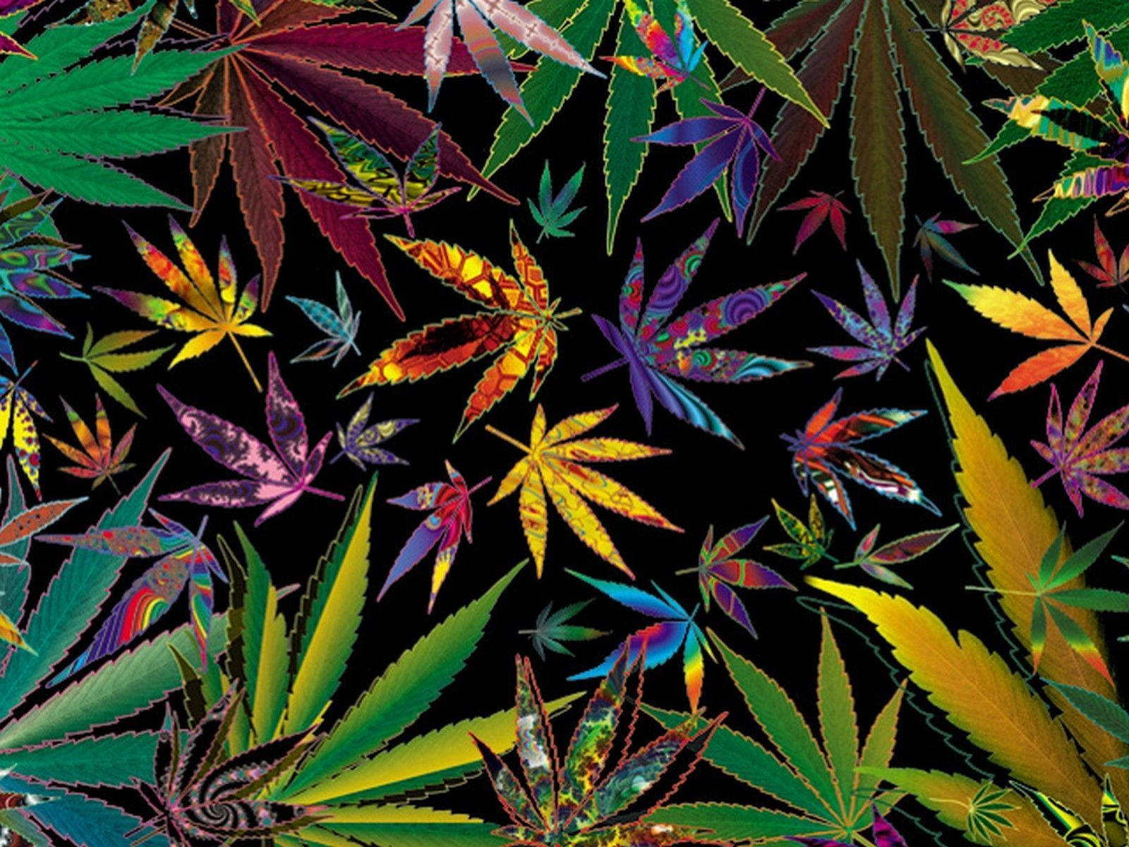 大麻 桌布 壁紙 — 鮮豔的迷幻大麻葉以彩虹色調漂浮在純黑背景上。