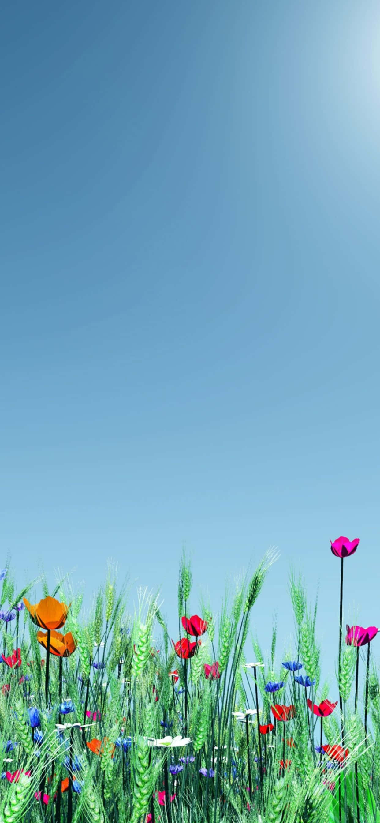 Pixel 3 Spring 桌布 壁紙 — 鮮豔的野花和小麥稈在晴朗的藍天下，在陽光明媚的草地上盛開。