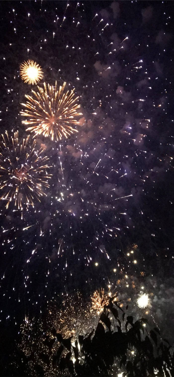 Fireworks 桌布 壁紙 — 鮮豔的金色煙火在黑暗的夜空中，在剪影般的樹梢上方爆炸。