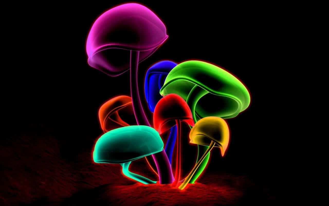 Neon Colors 桌布 壁紙 — 鮮豔的霓虹蘑菇在漆黑的背景下發光，帶有洋紅色、綠色、藍色和黃色的發光莖和菌蓋。