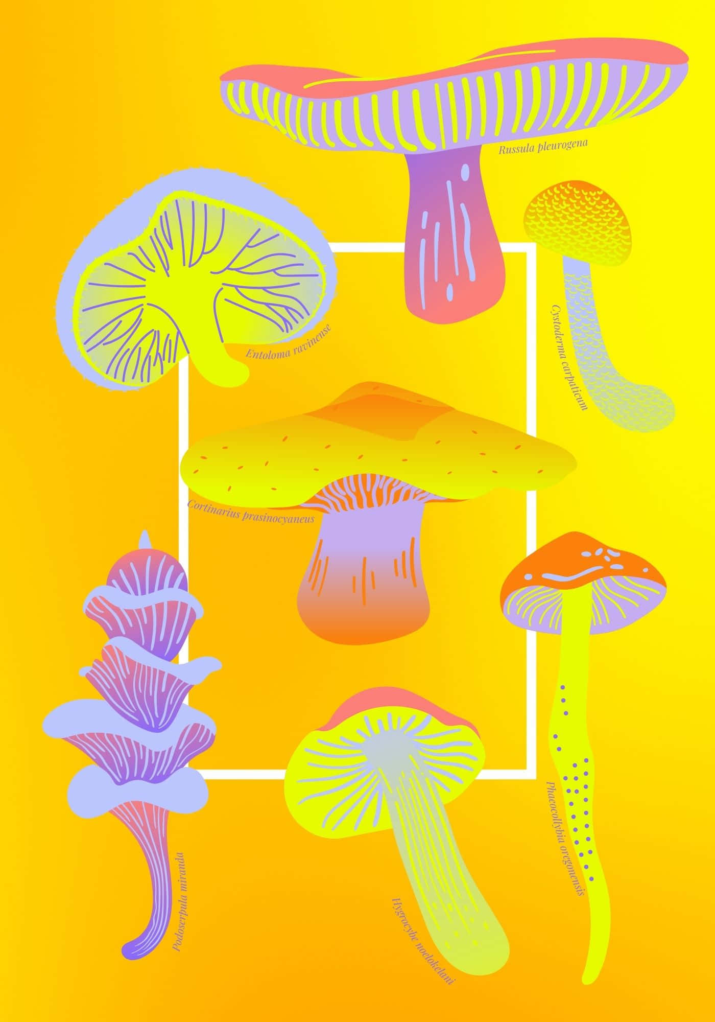 Mushroom Art 桌布 壁紙 — 鮮豔的風格化蘑菇以霓虹色調漂浮在鮮黃色背景上，帶有科學標籤。