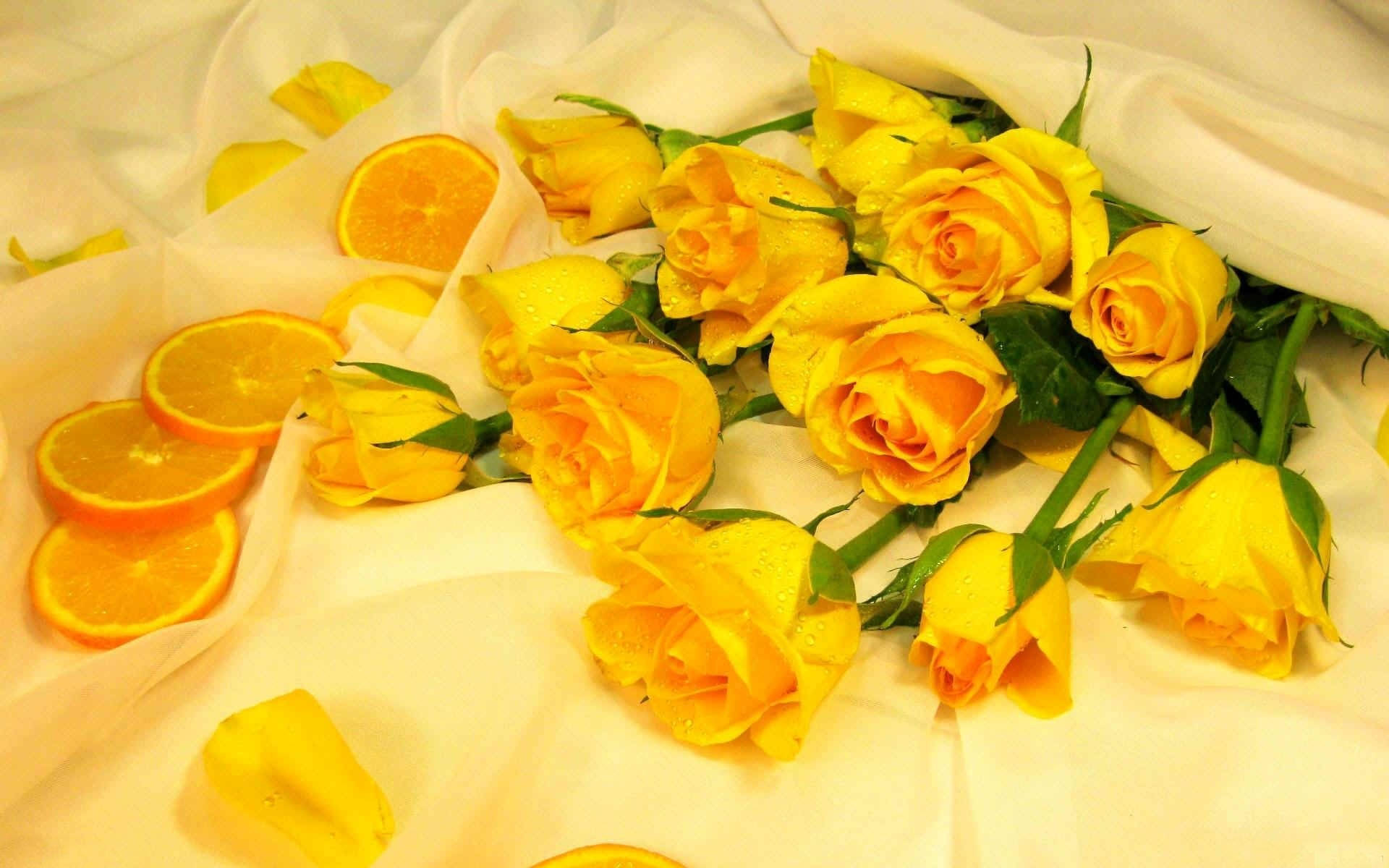 Yellow Aesthetic Desktop 桌布 壁紙 — 鮮豔的黃玫瑰和橙片放在柔軟的白色布料上，構成溫暖、陽光普照的靜物佈置。