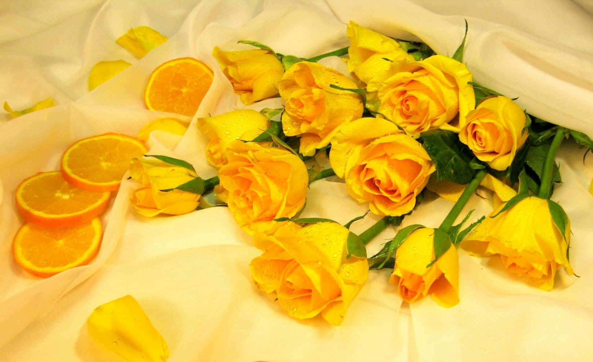 Yellow Aesthetic Flower Desktop 桌布 壁紙 — 鮮豔的黃玫瑰和橙片放在柔軟的白色布料上，露珠在溫暖燈光下閃爍。