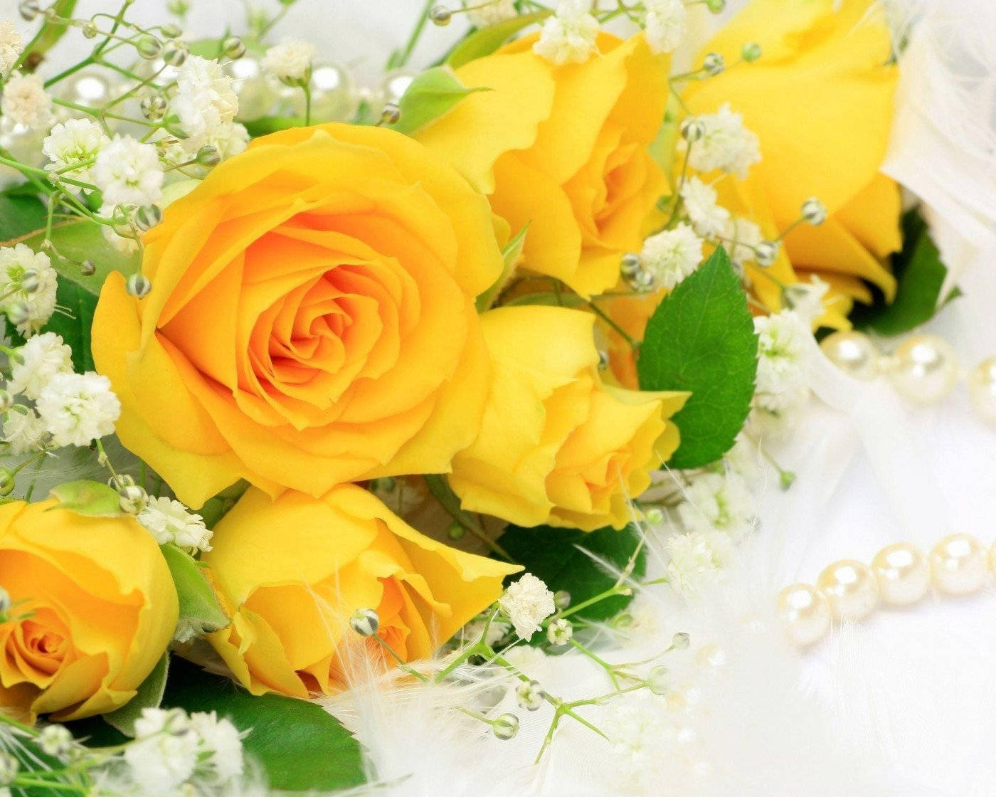 Roses 桌布 壁紙 — 鮮豔的黃玫瑰和精緻的白色滿天星，搭配綠葉和珍珠點綴，在柔和的白色背景上。