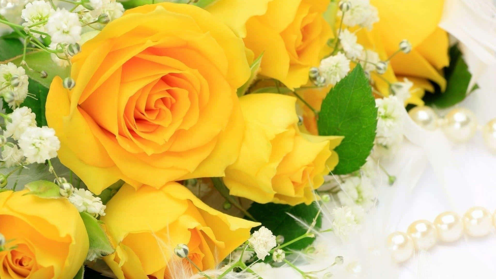 1080p Roses 桌布 壁紙 — 鮮豔的黃玫瑰搭配白色滿天星和珍珠，組合成柔美的浪漫花束。