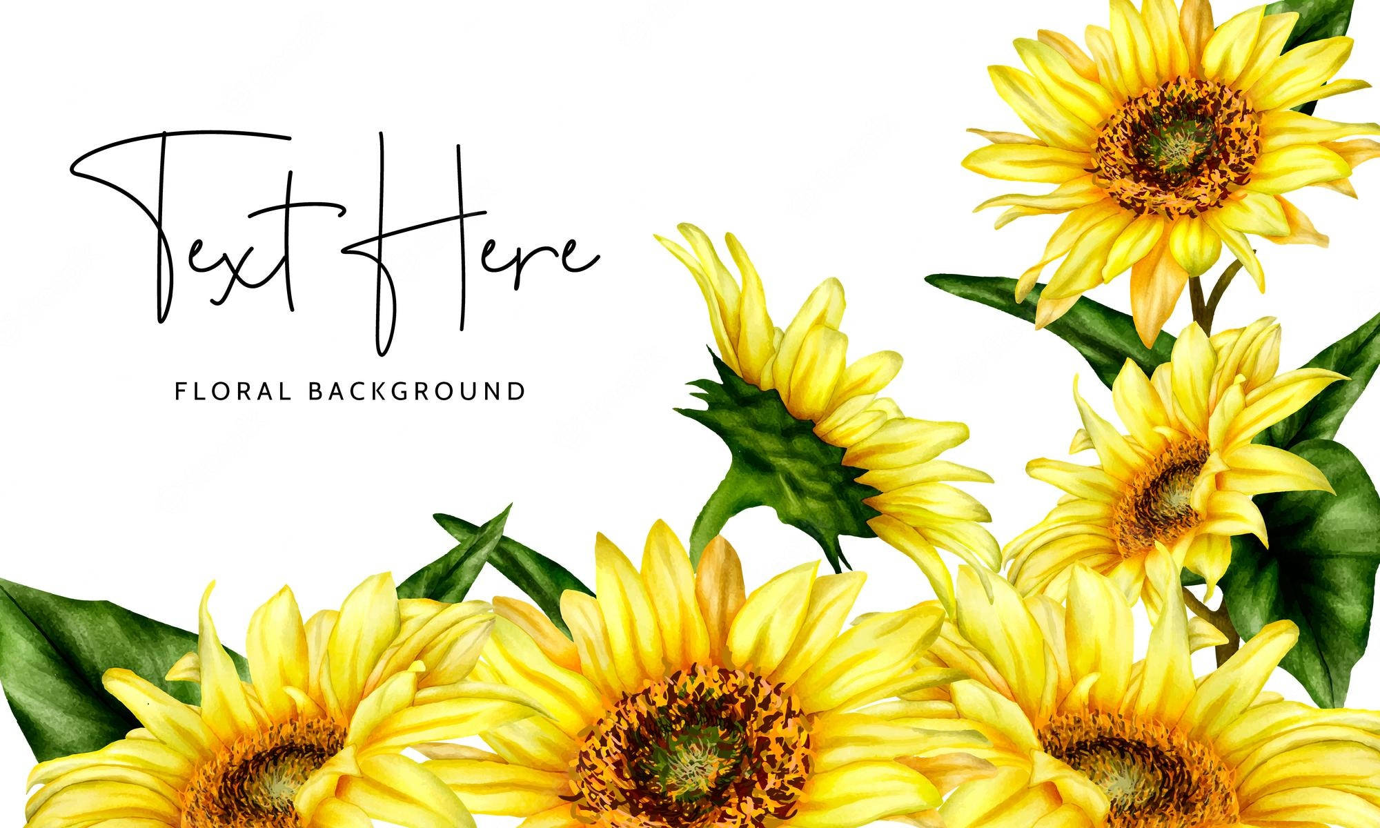 Sunflowers And Roses 桌布 壁紙 — 鮮豔的黃色向日葵和綠色葉子在右下角聚集，背景為潔淨的白色，並帶有優雅的手寫文字。