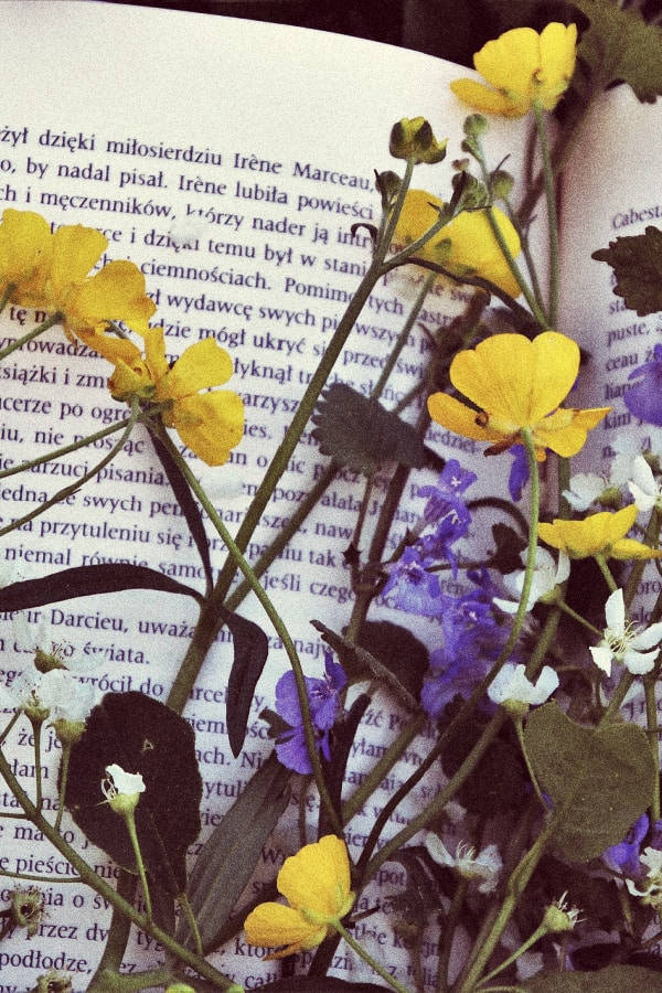 Pinterest 美學 桌布 壁紙 — 鮮豔的黃色和紫色野花在帶有波蘭語文字的打開的書本上綻放，呈現柔和夢幻的特寫。