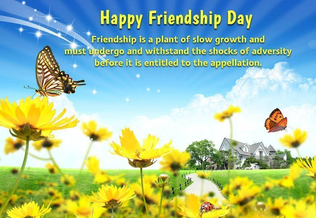 Friendship 桌布 壁紙 — 鮮豔的黃色花朵在陽光明媚的草地上盛開，蝴蝶在明亮的藍天下翩翩起舞，並附有友好的訊息。