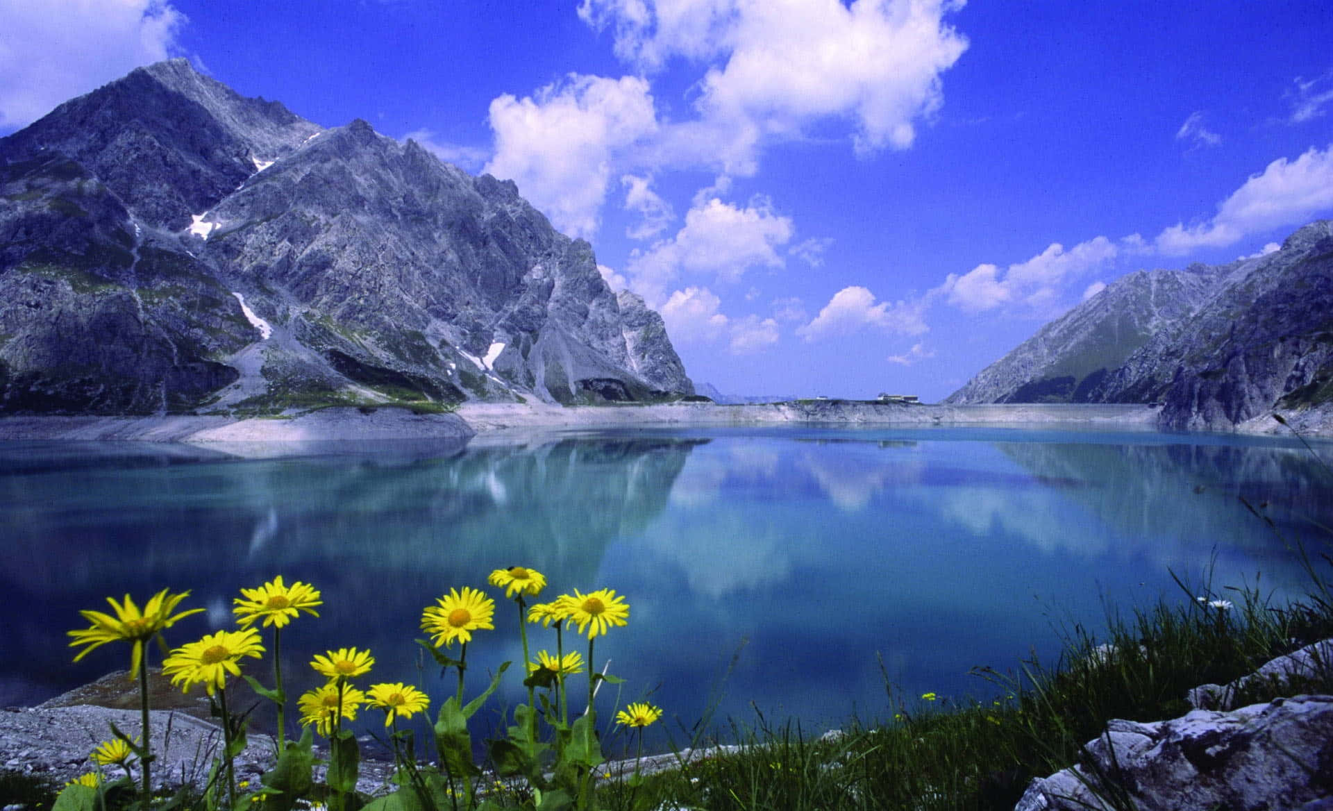 Lake 桌布 壁紙 — 鮮豔的黃色野花在清澈見底的高山湖邊盛開，湖水映照著高聳的岩石山脈，上方是藍天白雲。