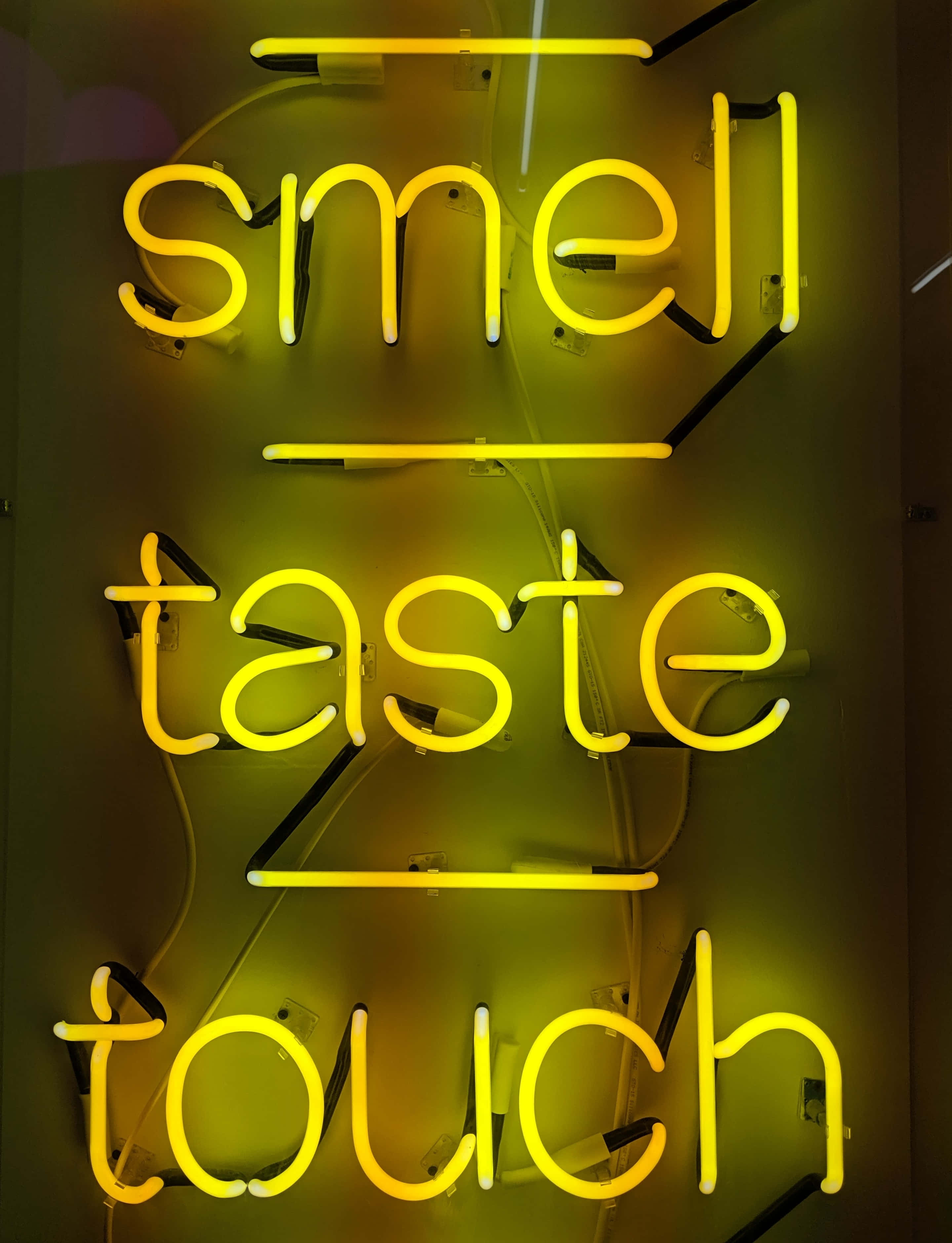 桌布 壁紙 — 鮮豔的黃色霓虹燈牌拼出 smell taste touch，在可見接線的深色牆壁上發光。